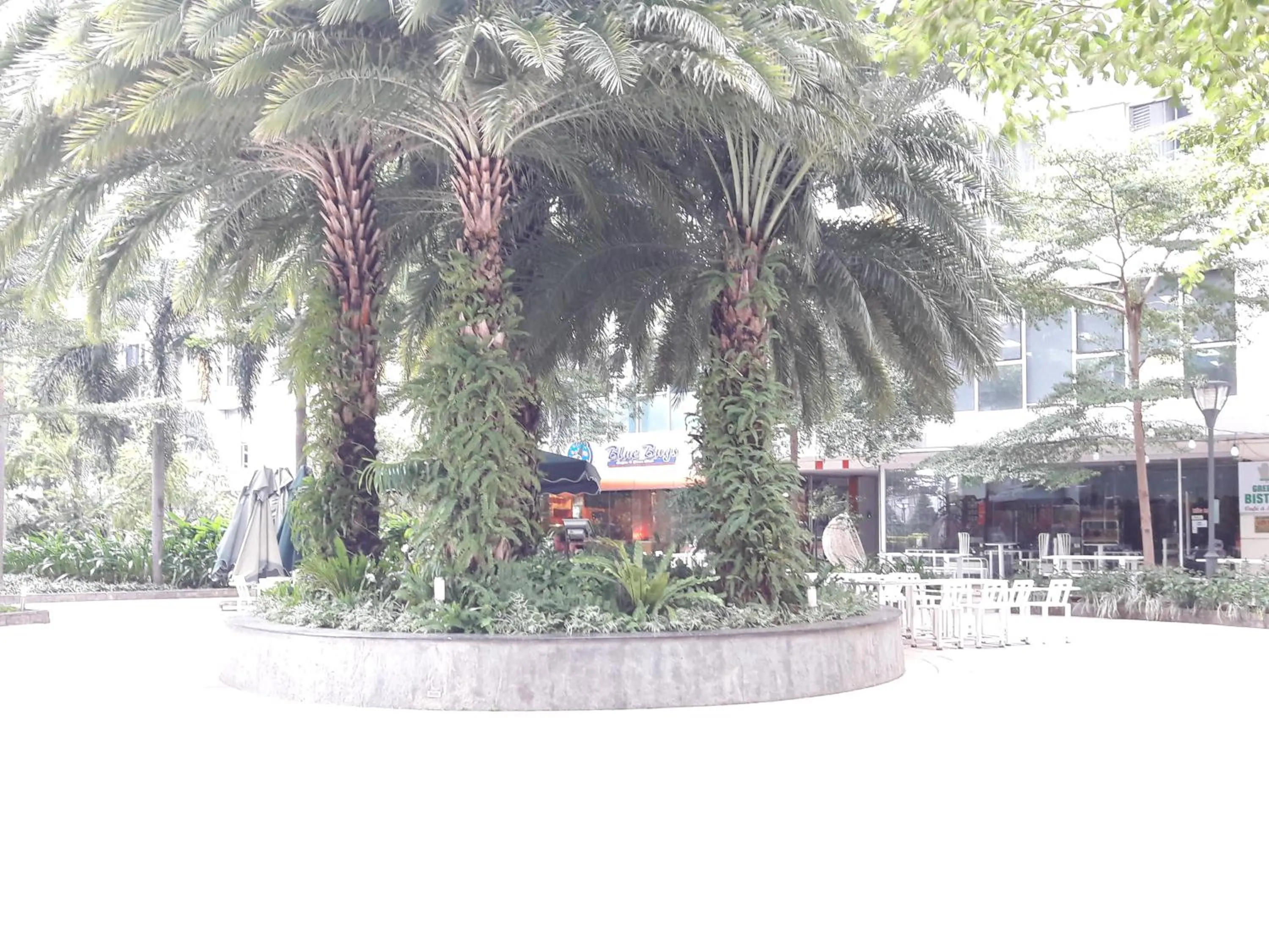 Restaurant/places to eat in Bluesky Serviced Apartment Airport Plaza