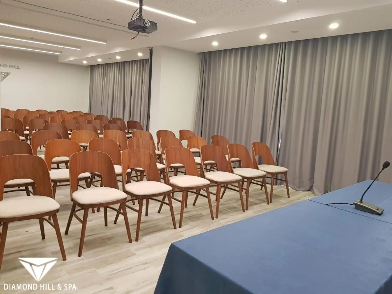 Business facilities in Diamond Hill Resort & SPA