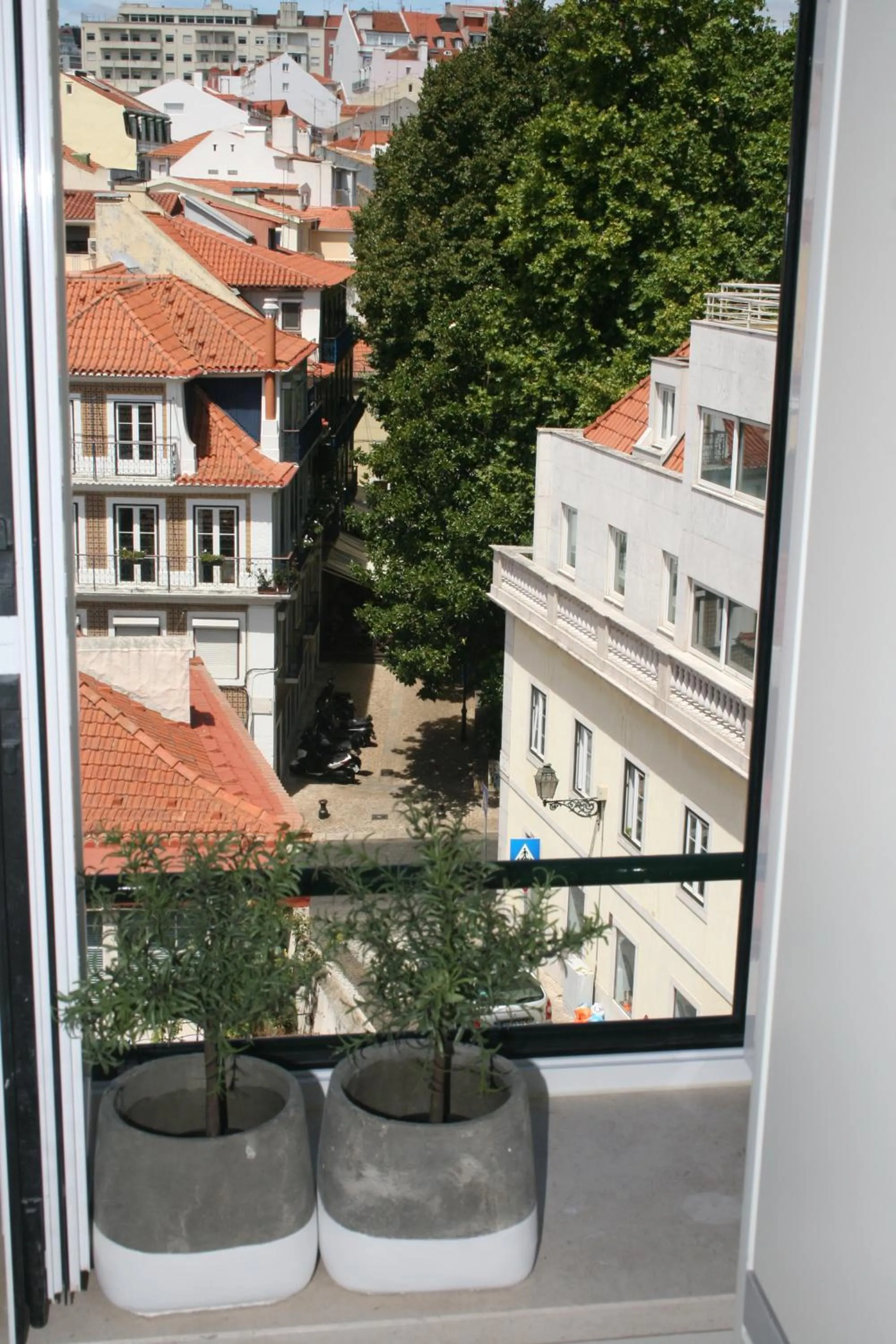 Street view in Flores Guest House