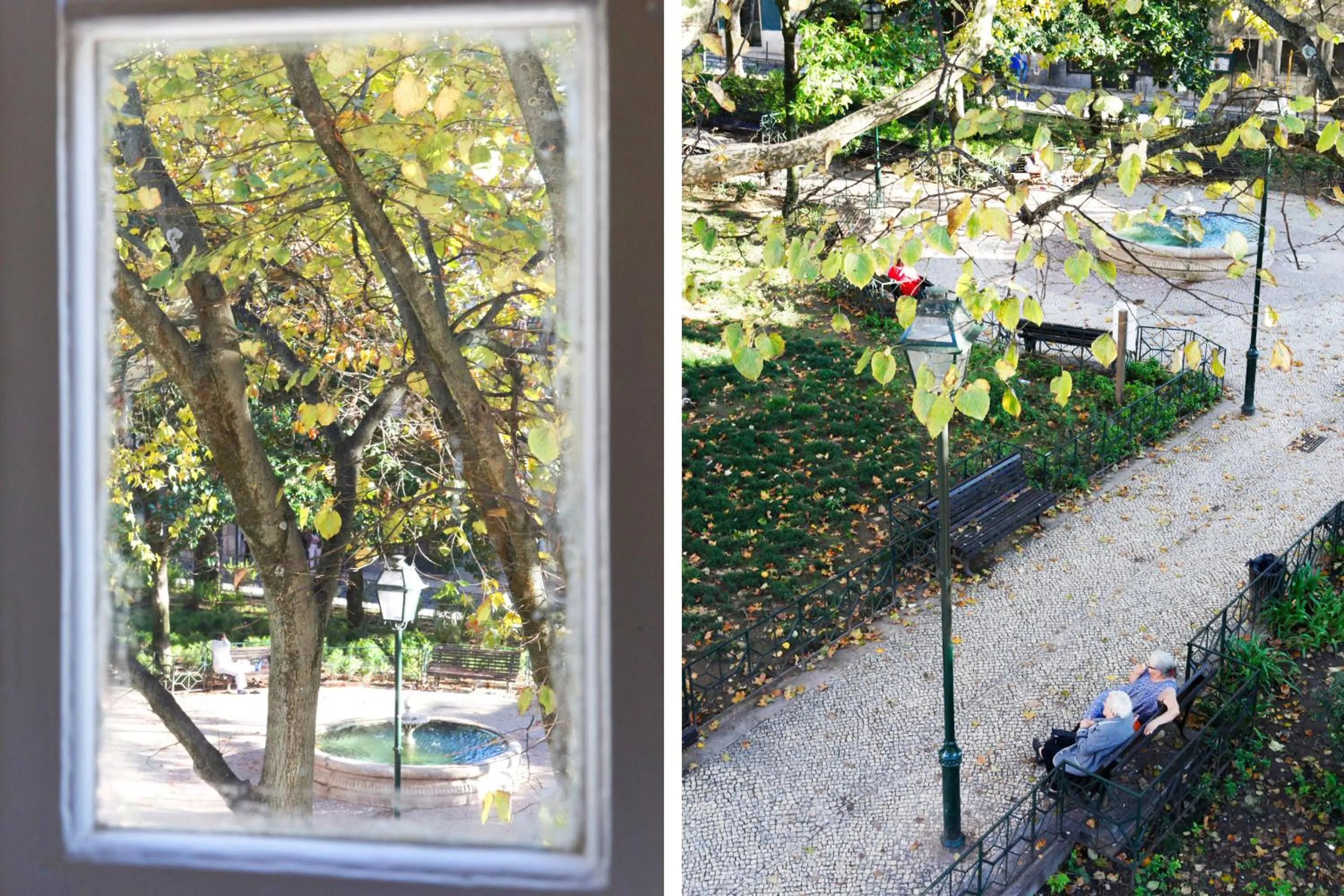 Garden view in Flores Guest House