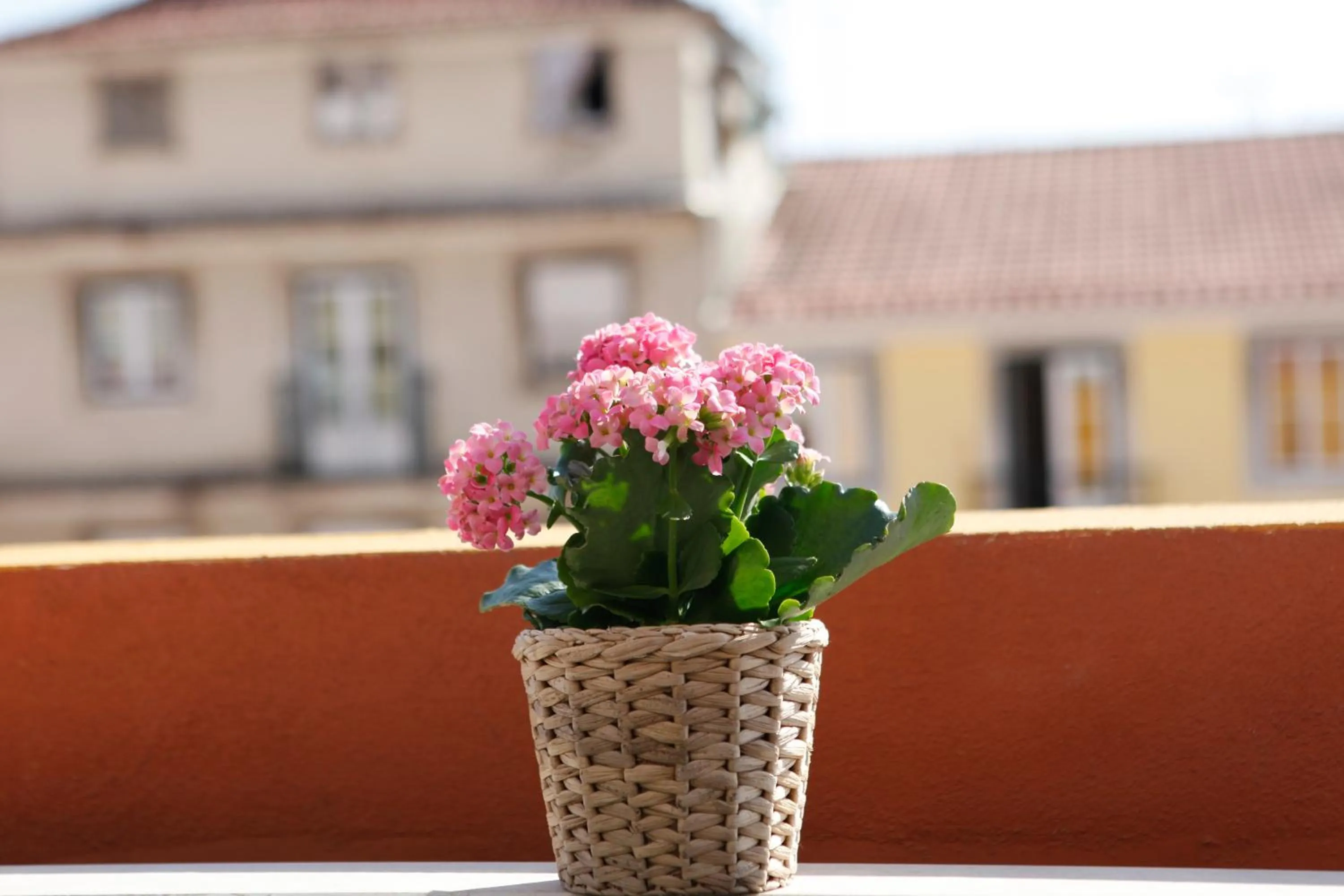 Balcony/Terrace in Flores Guest House