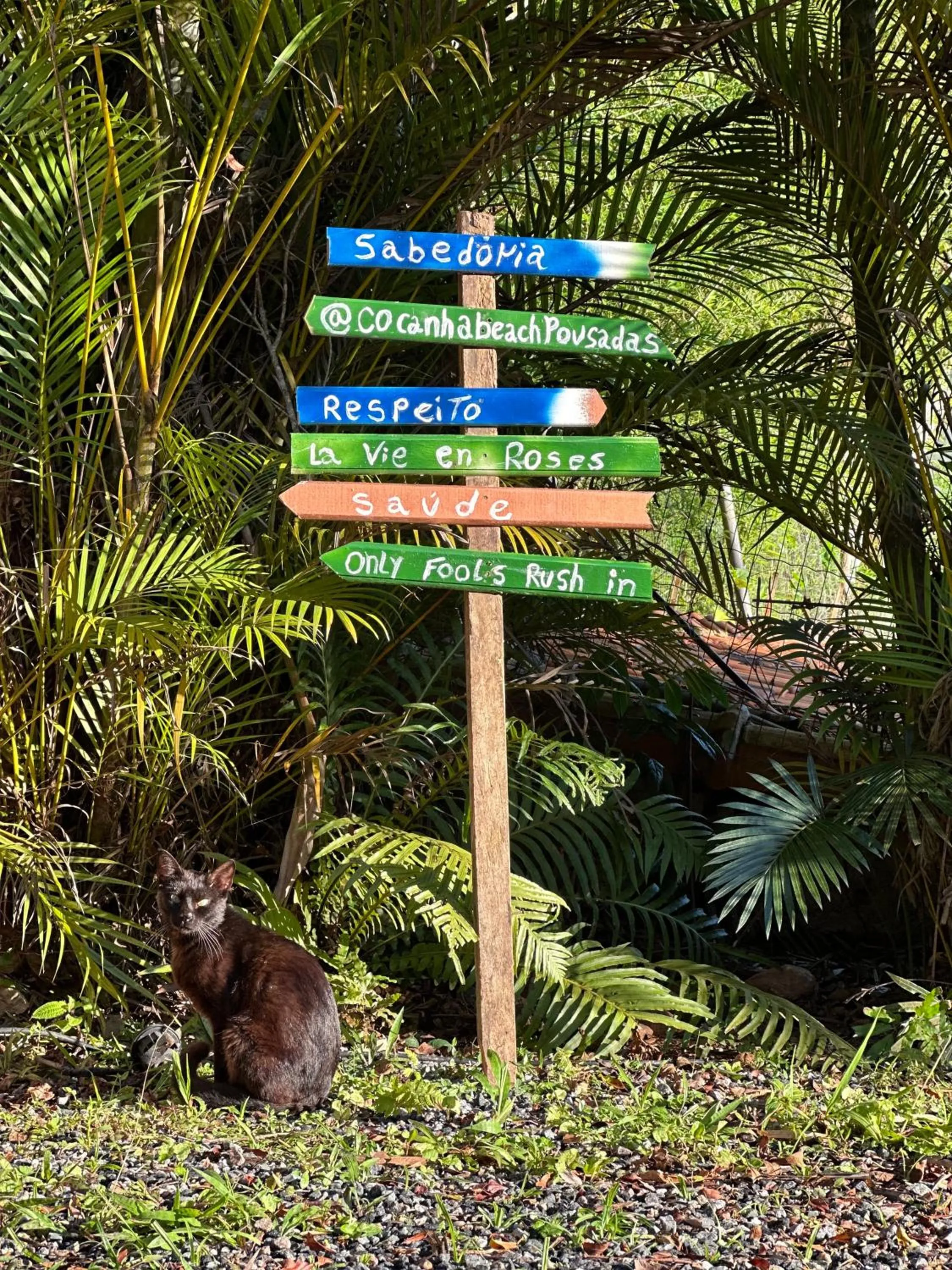 Natural landscape in Cocanha Beach Pousadas