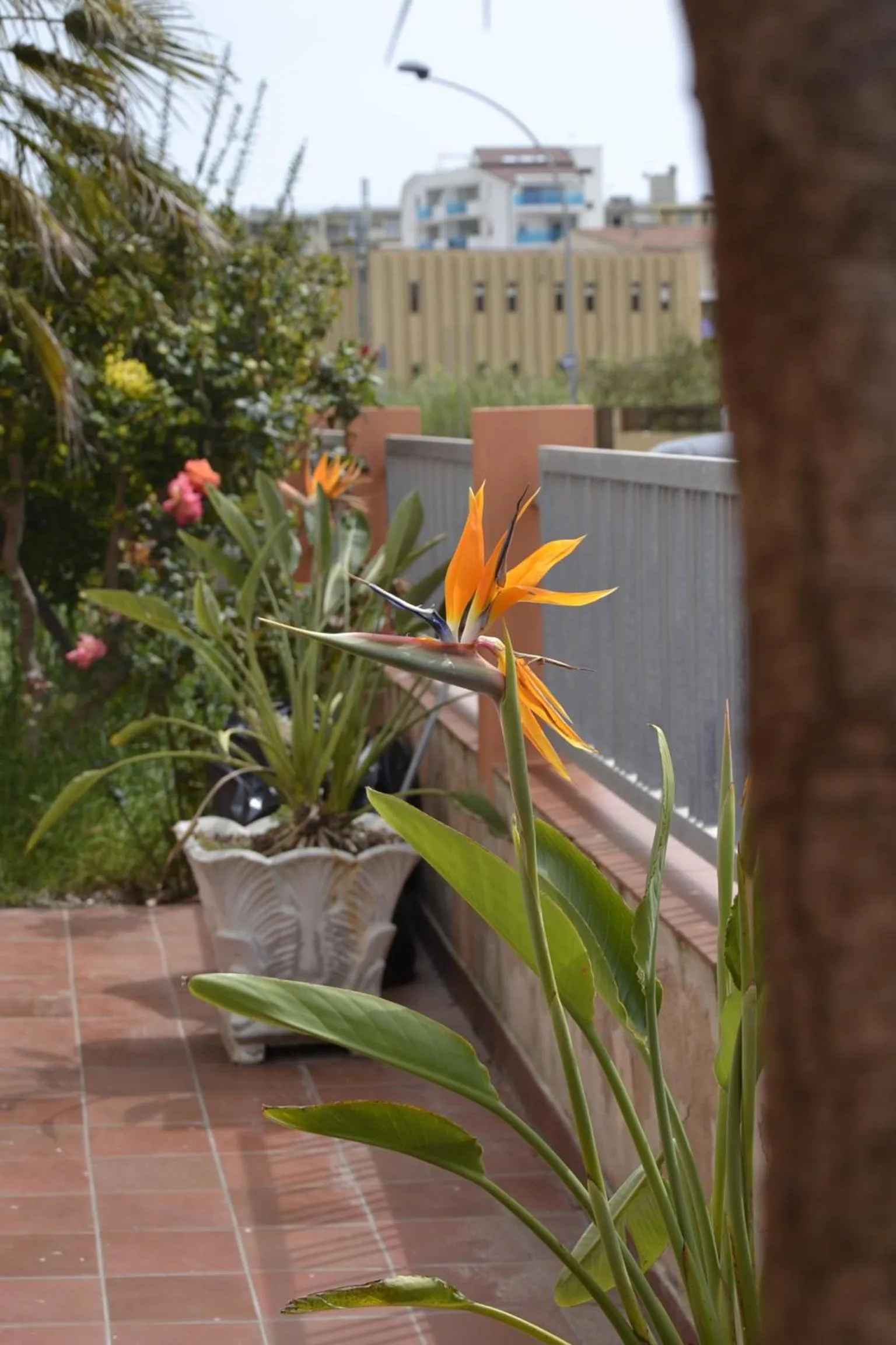 Property building in White Beach