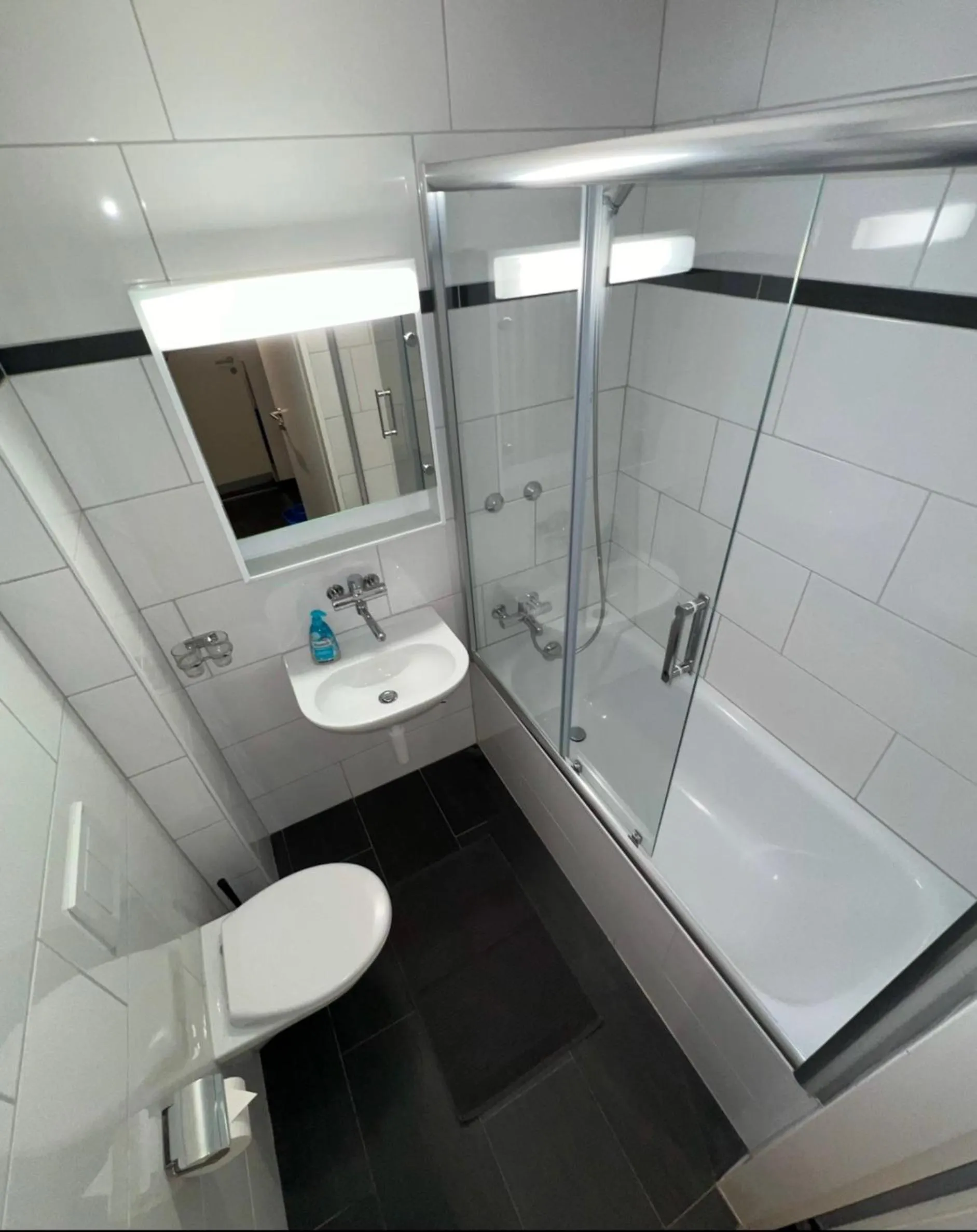 Toilet in Seefeld Residenz