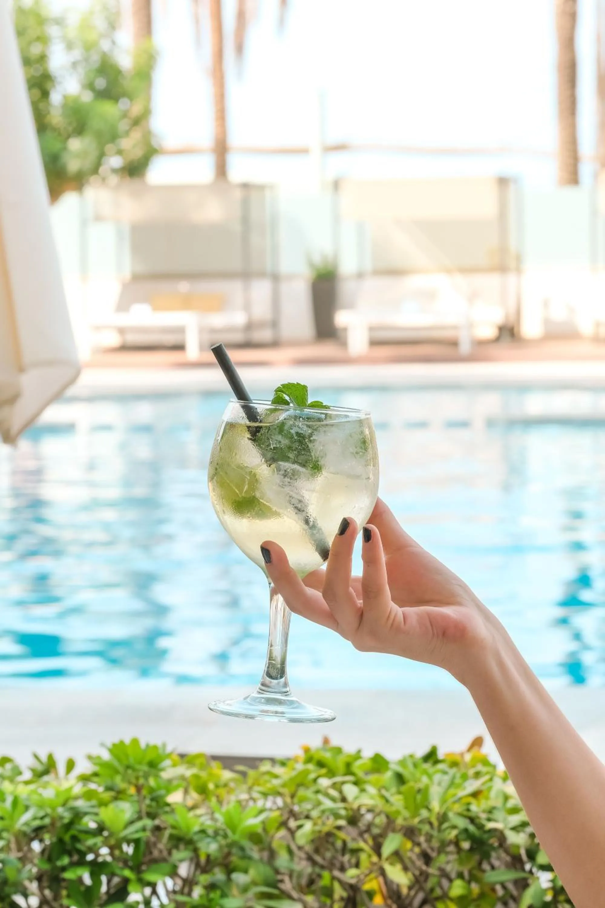 Food and drinks in Hotel Playa Golf - Adults Only