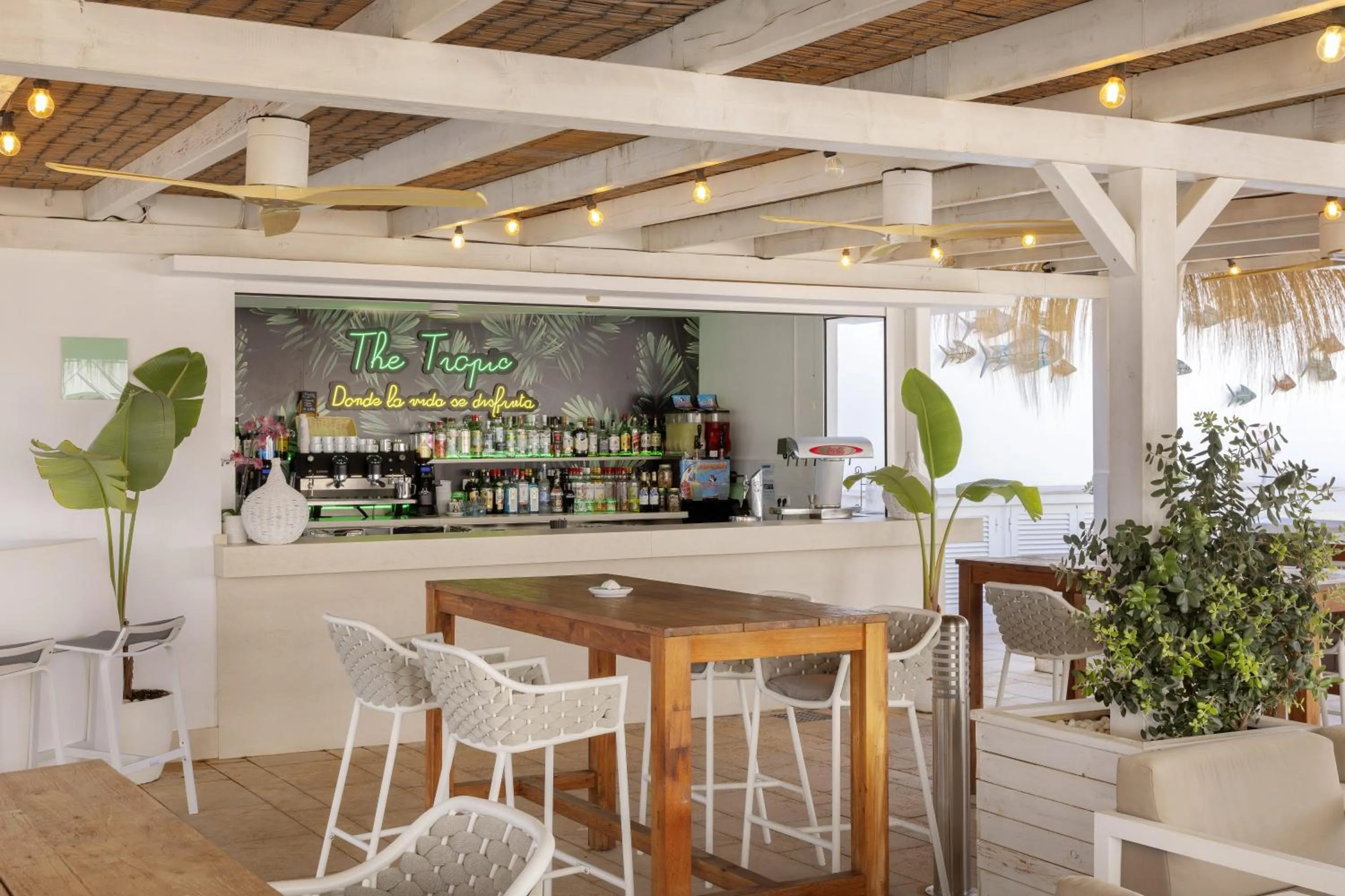 Balcony/Terrace in Alua Gran Camp de Mar