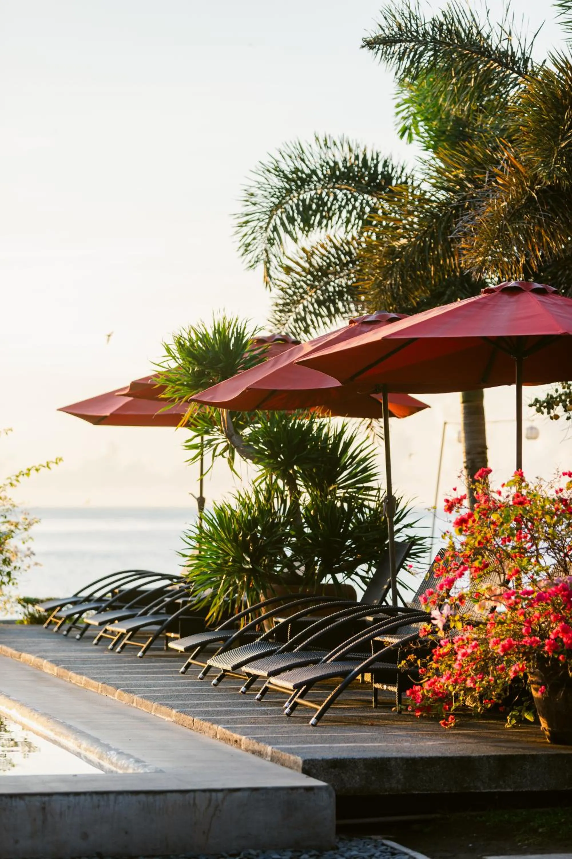 Day in Azure Dive Resort