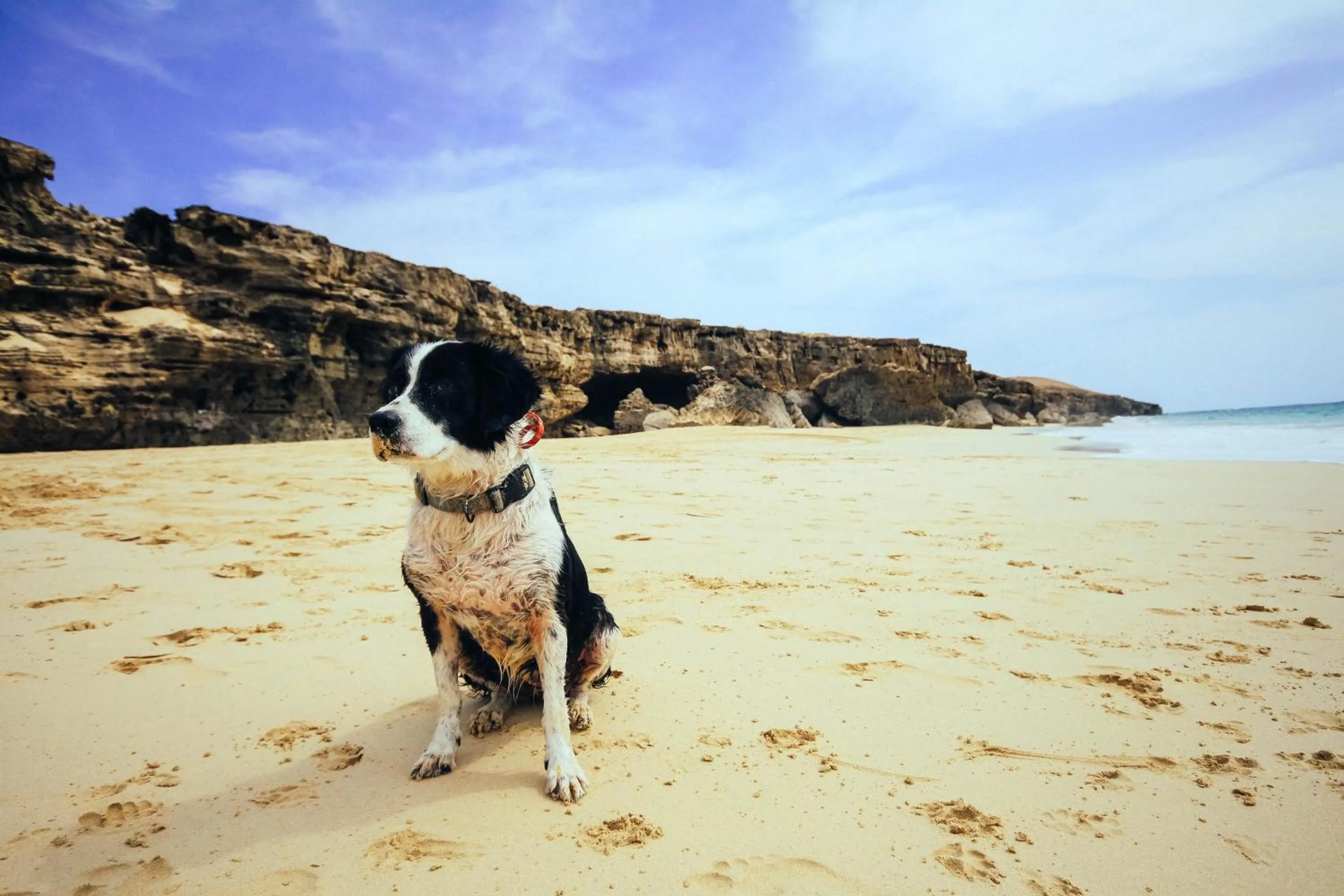 Natural landscape in Aparthotel Por do Sol