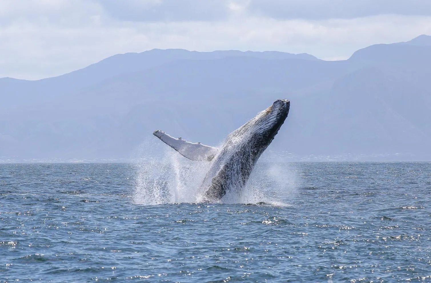 Natural landscape in Aparthotel Por do Sol