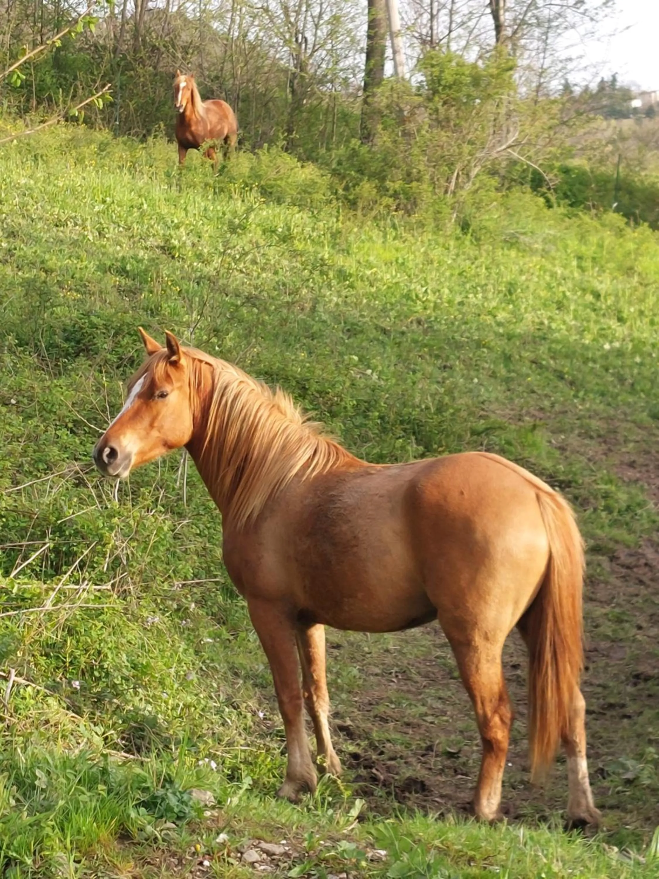 Day in Cà Gennara Agri B&B