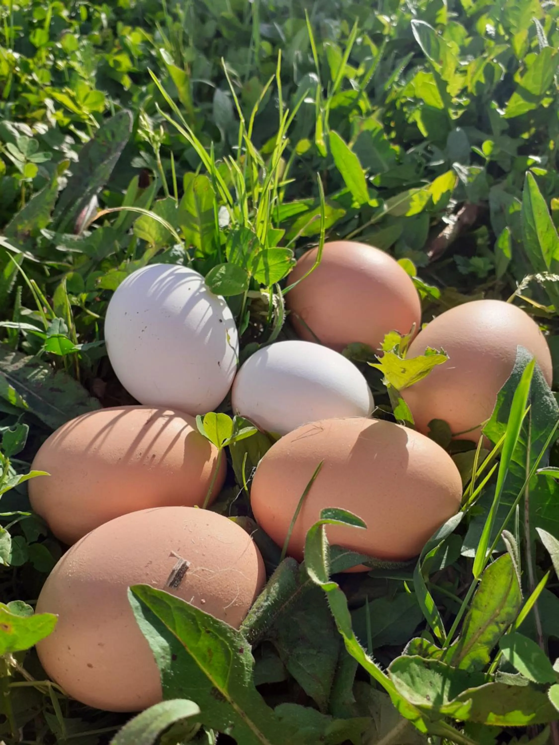 Activities in Cà Gennara Agri B&B