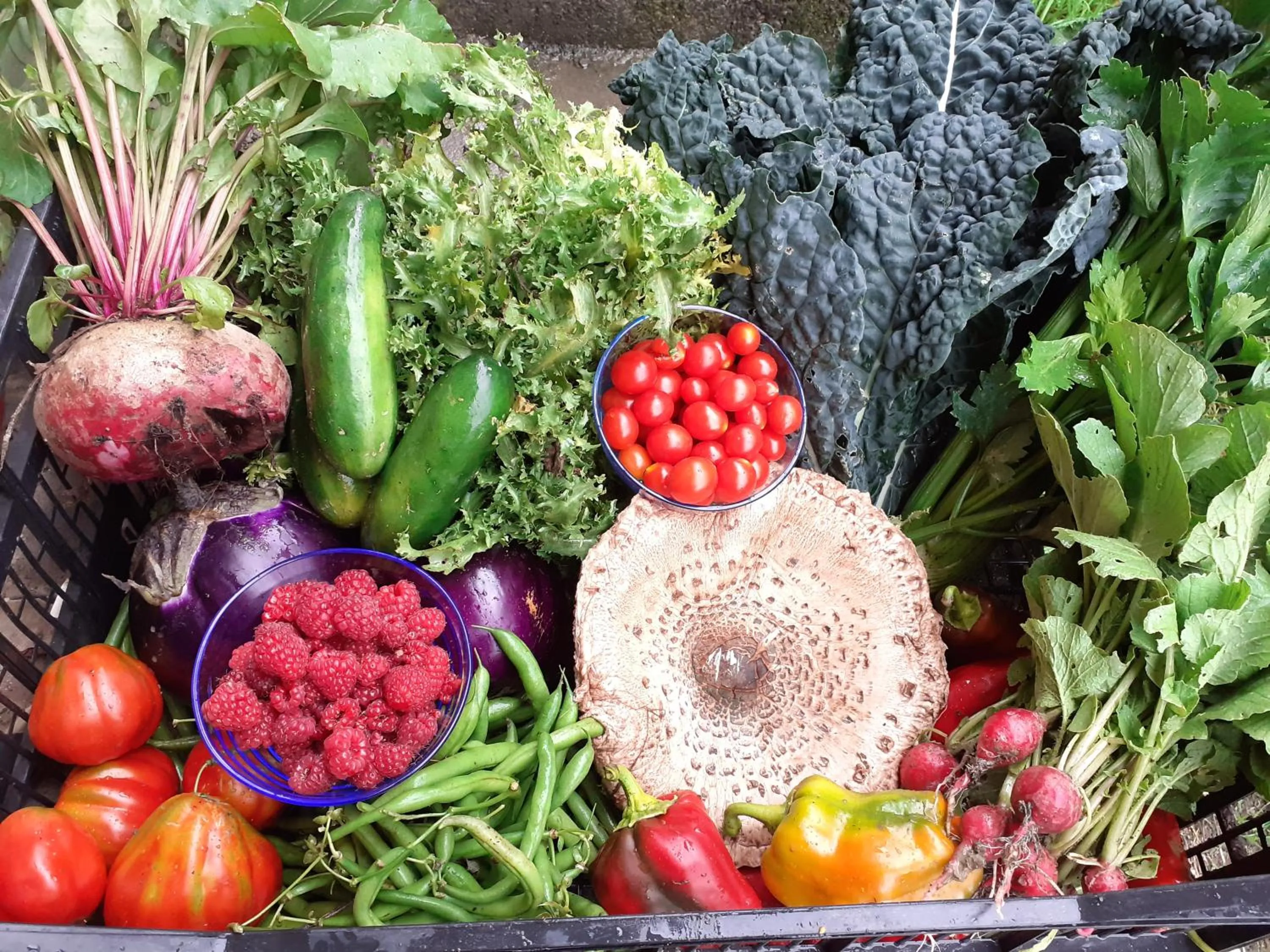 Summer in Cà Gennara Agri B&B