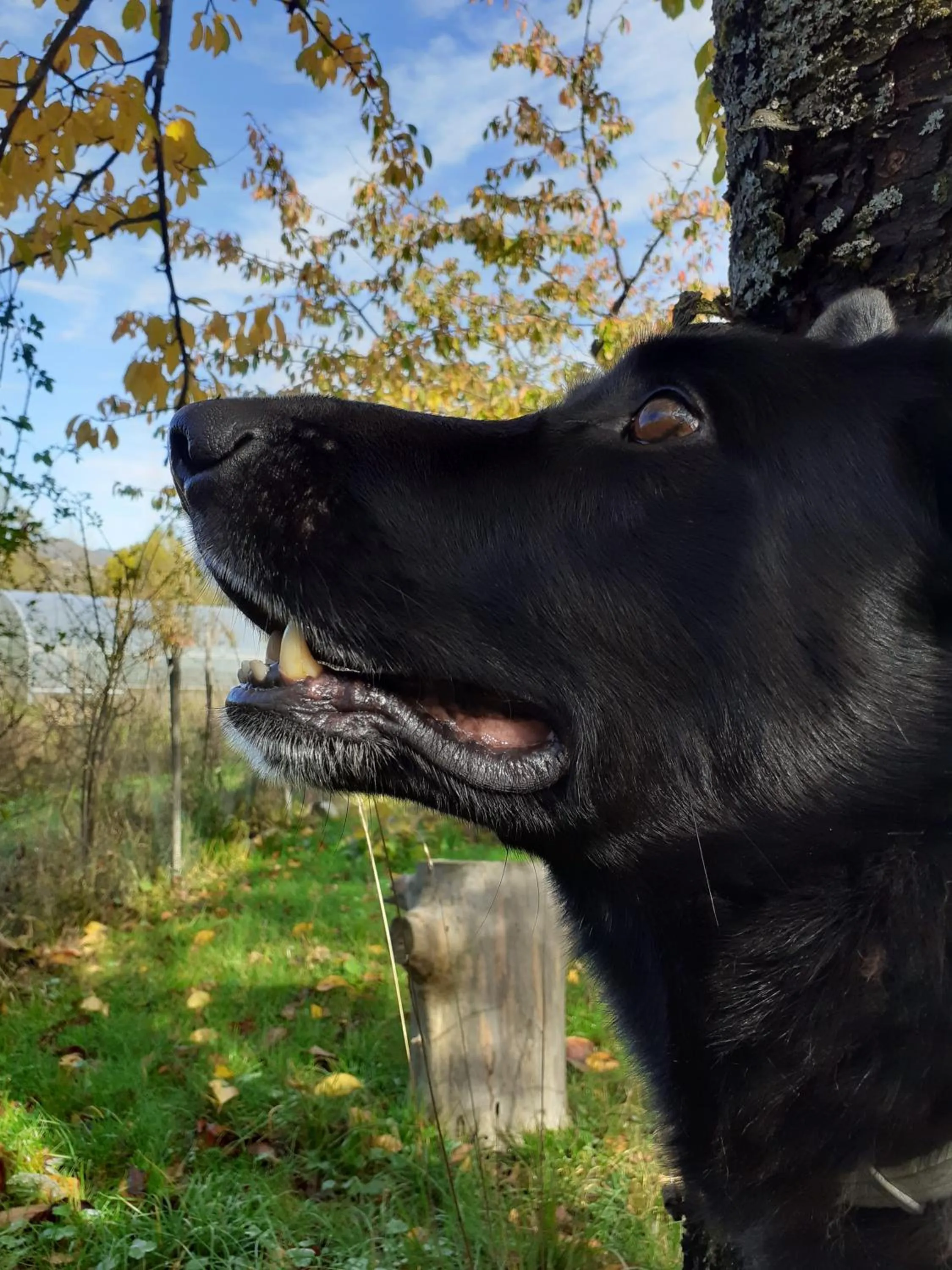Spring in Cà Gennara Agri B&B