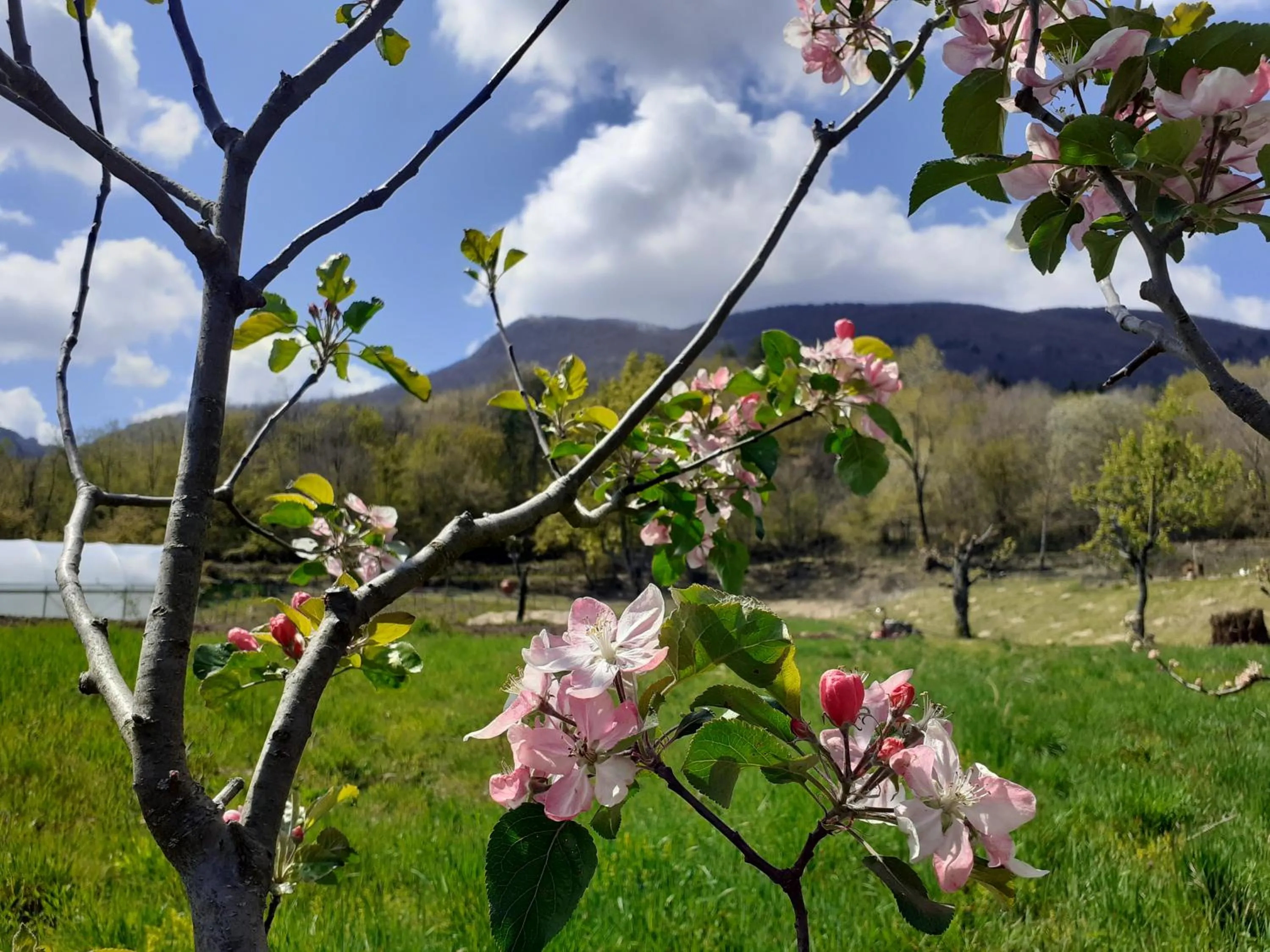 Natural landscape in Cà Gennara Agri B&B