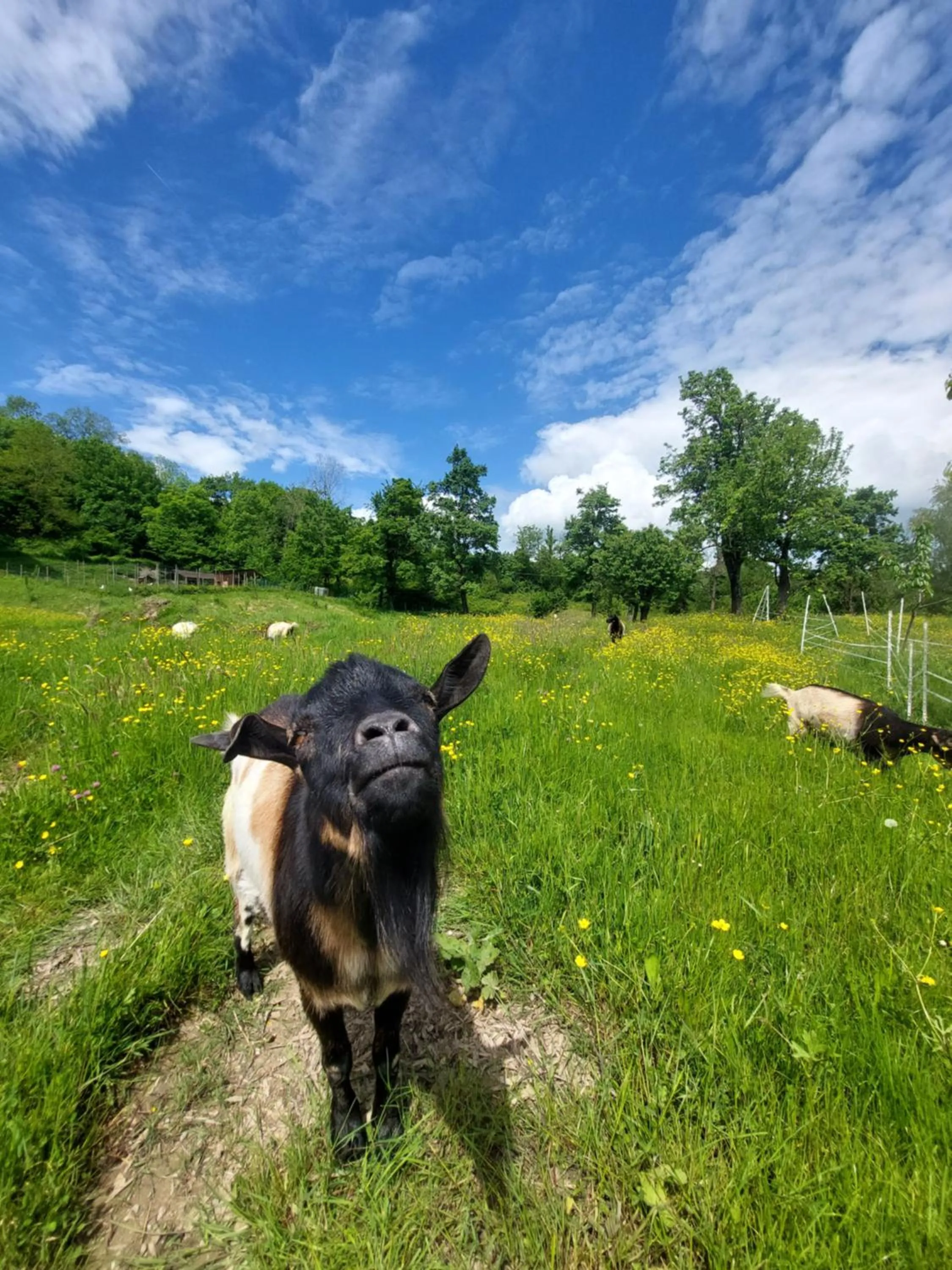 Spring in Cà Gennara Agri B&B