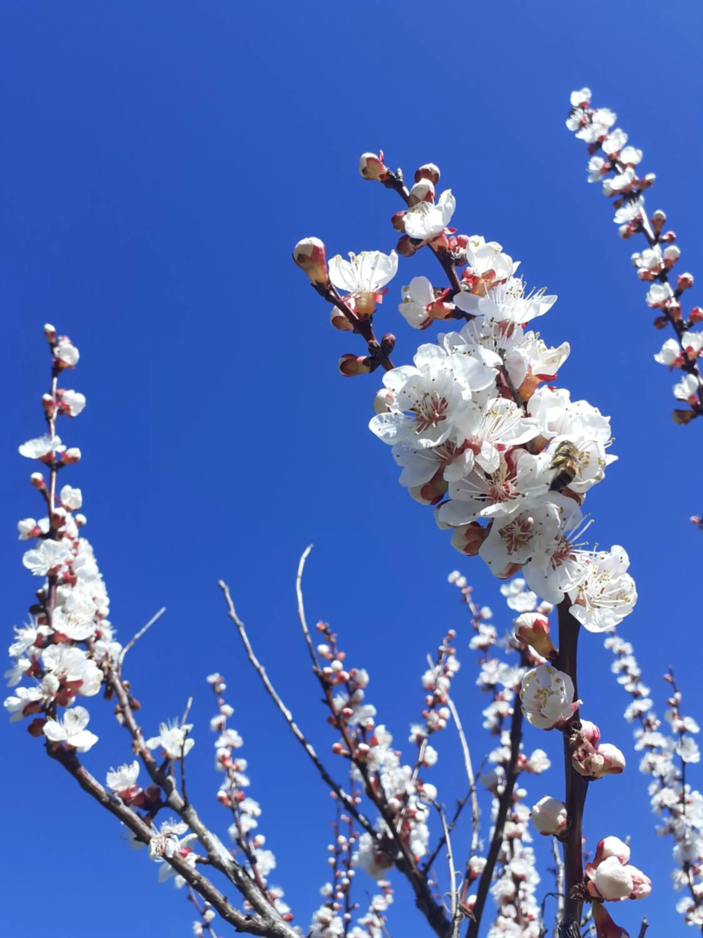 Natural landscape in Cà Gennara Agri B&B