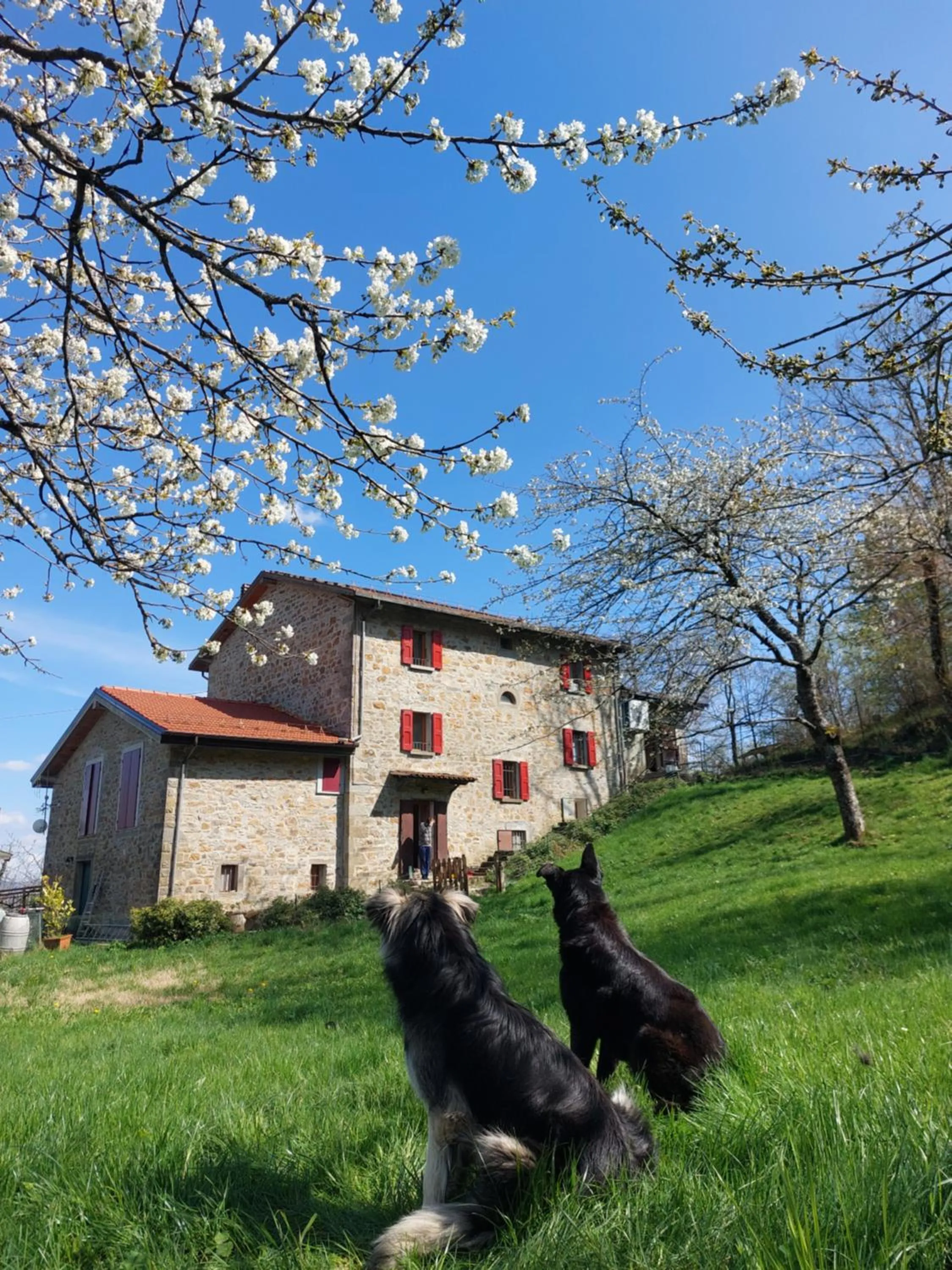 Property building in Cà Gennara Agri B&B