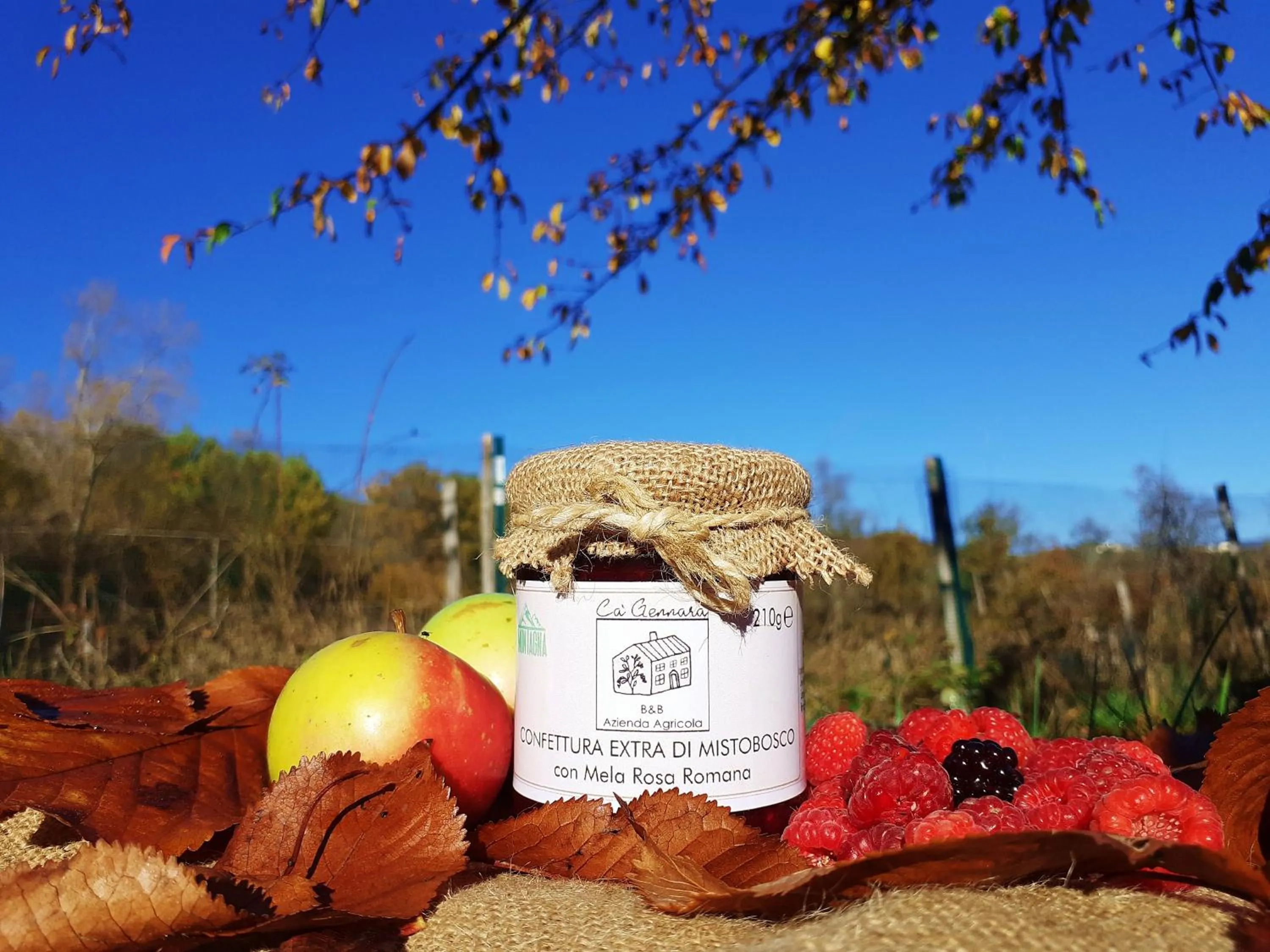 Property logo or sign in Cà Gennara Agri B&B