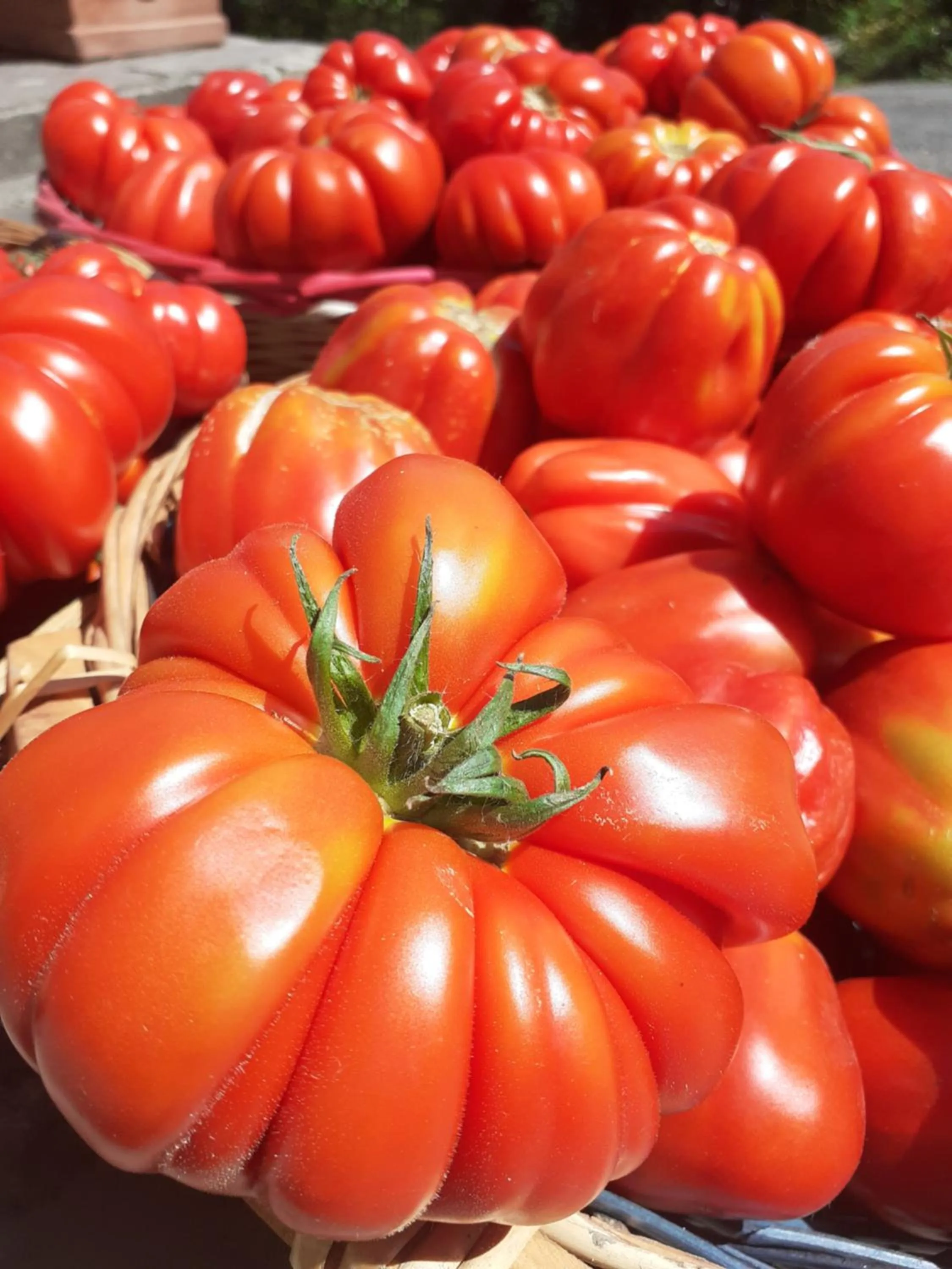 Food and drinks in Cà Gennara Agri B&B