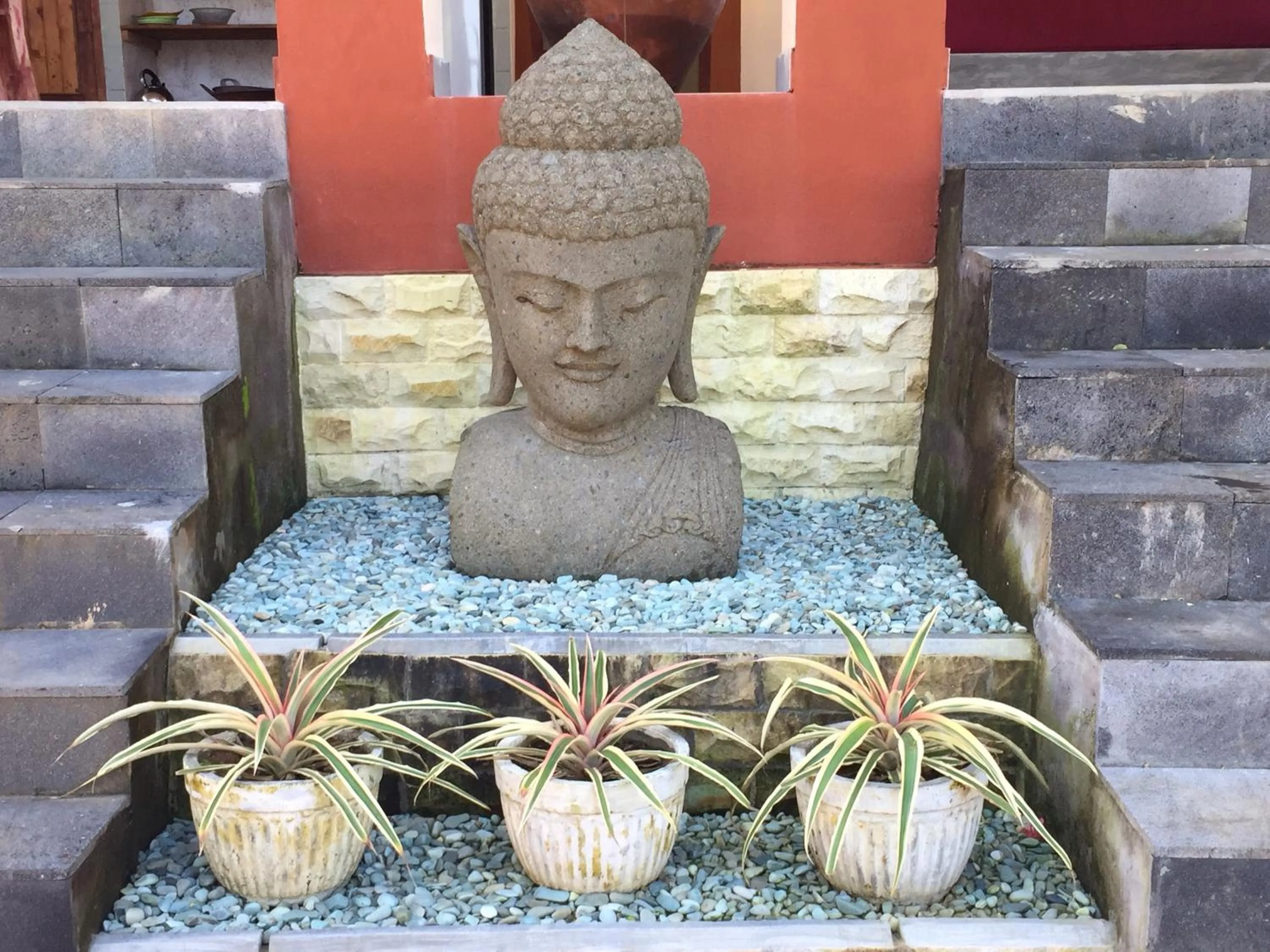 Patio in Villa Anjing 2