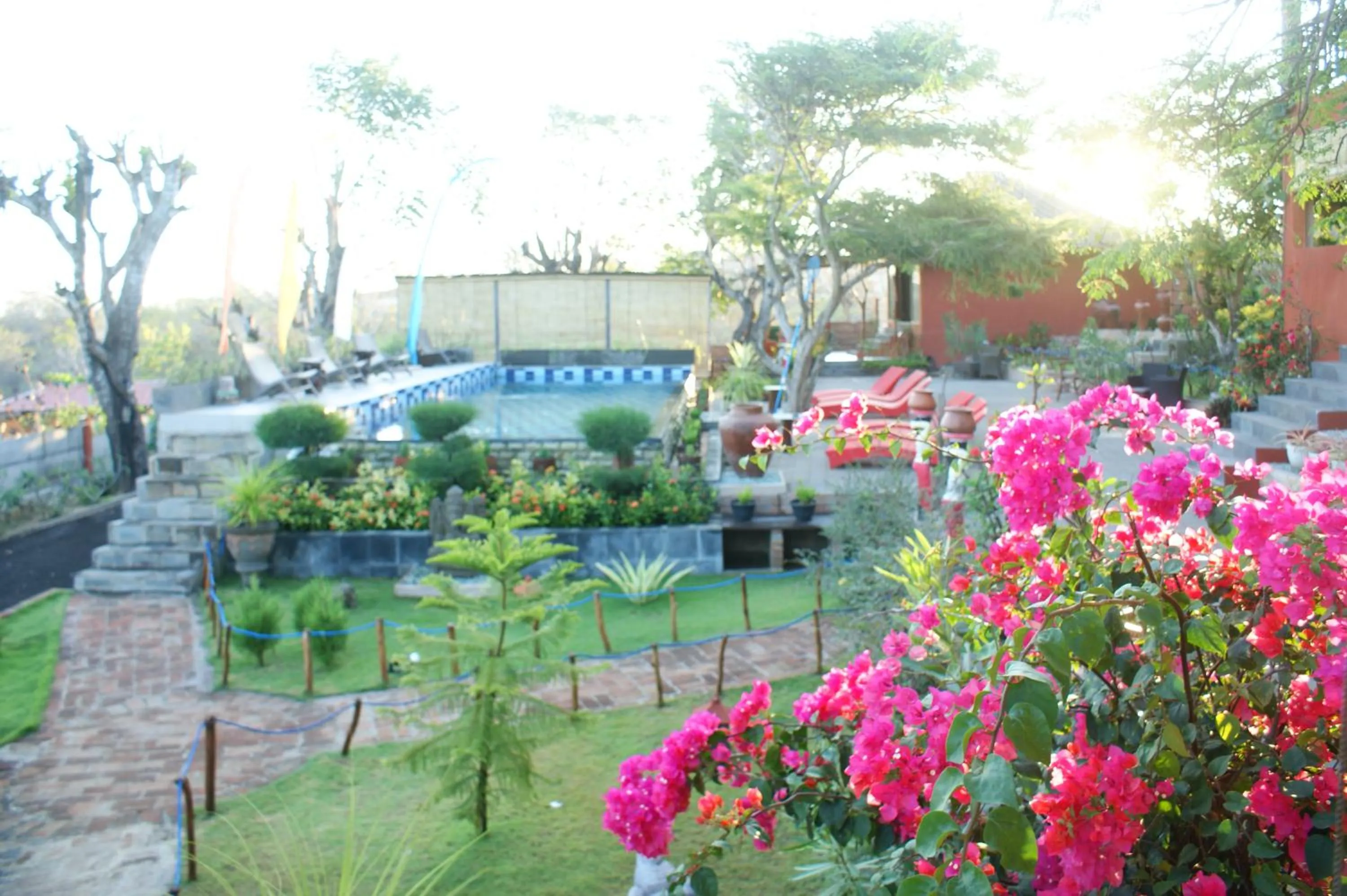 Garden view in Villa Anjing 2