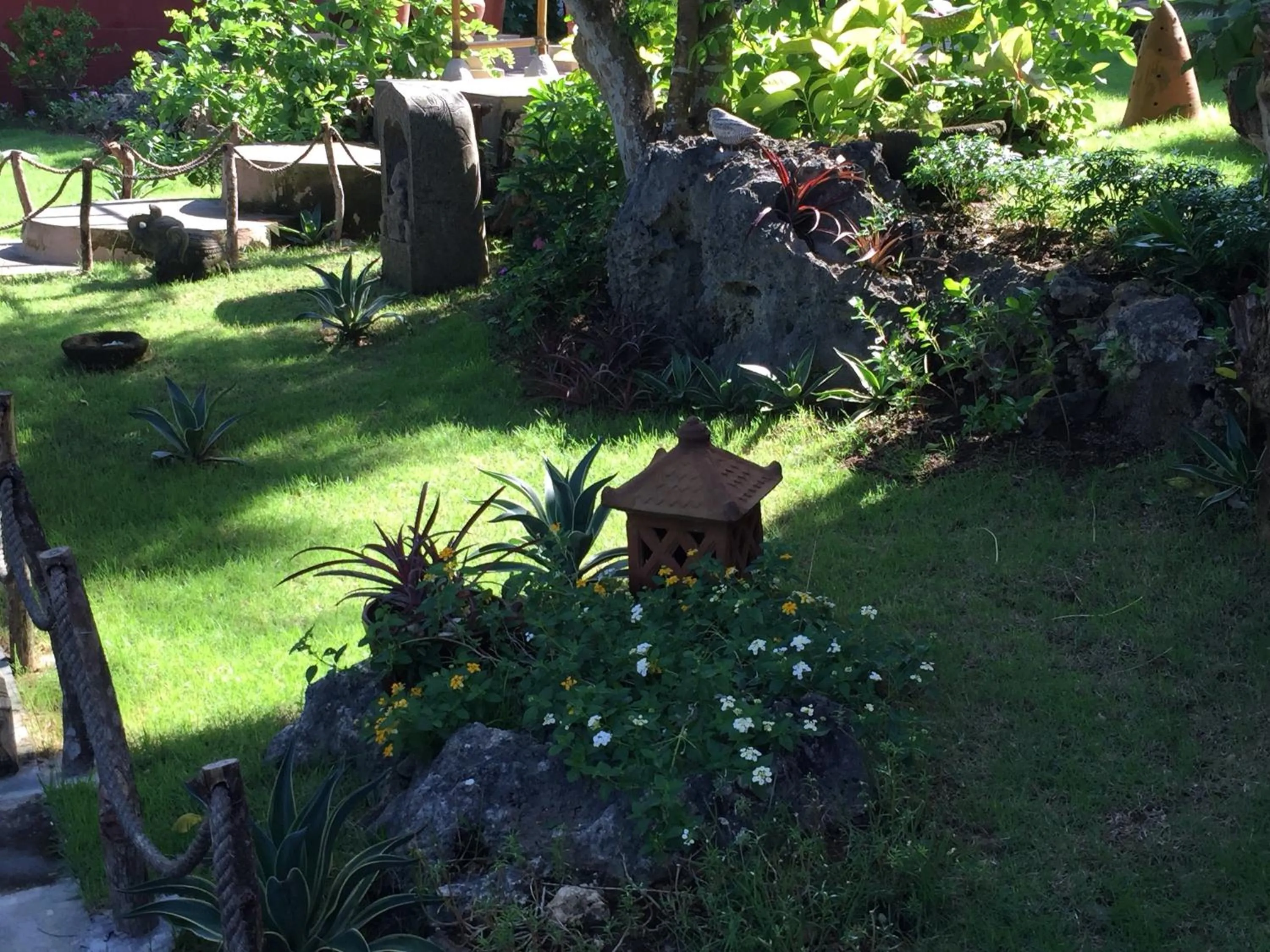 Day in Villa Anjing 2