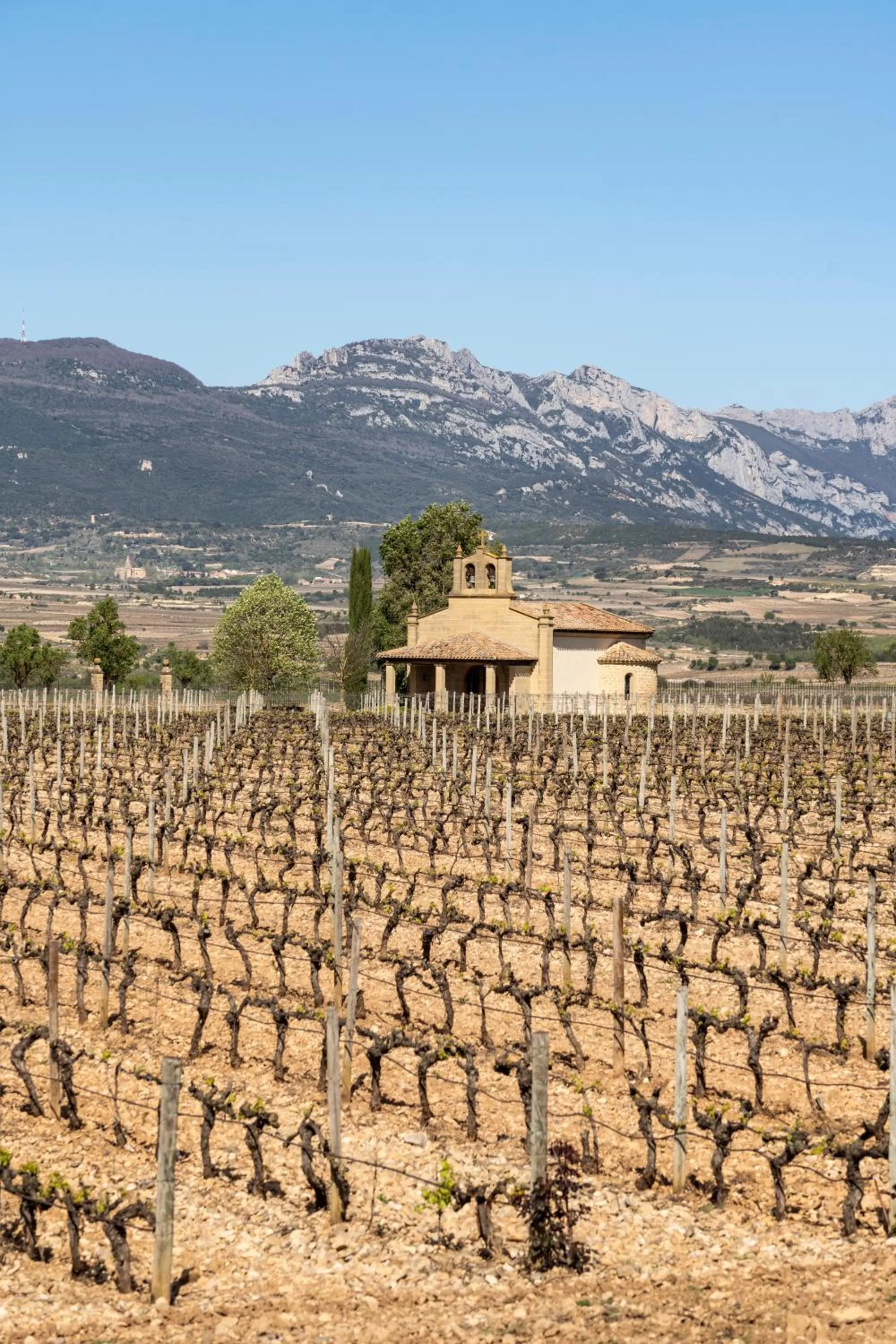 Entertainment in Parador de Santo Domingo de la Calzada