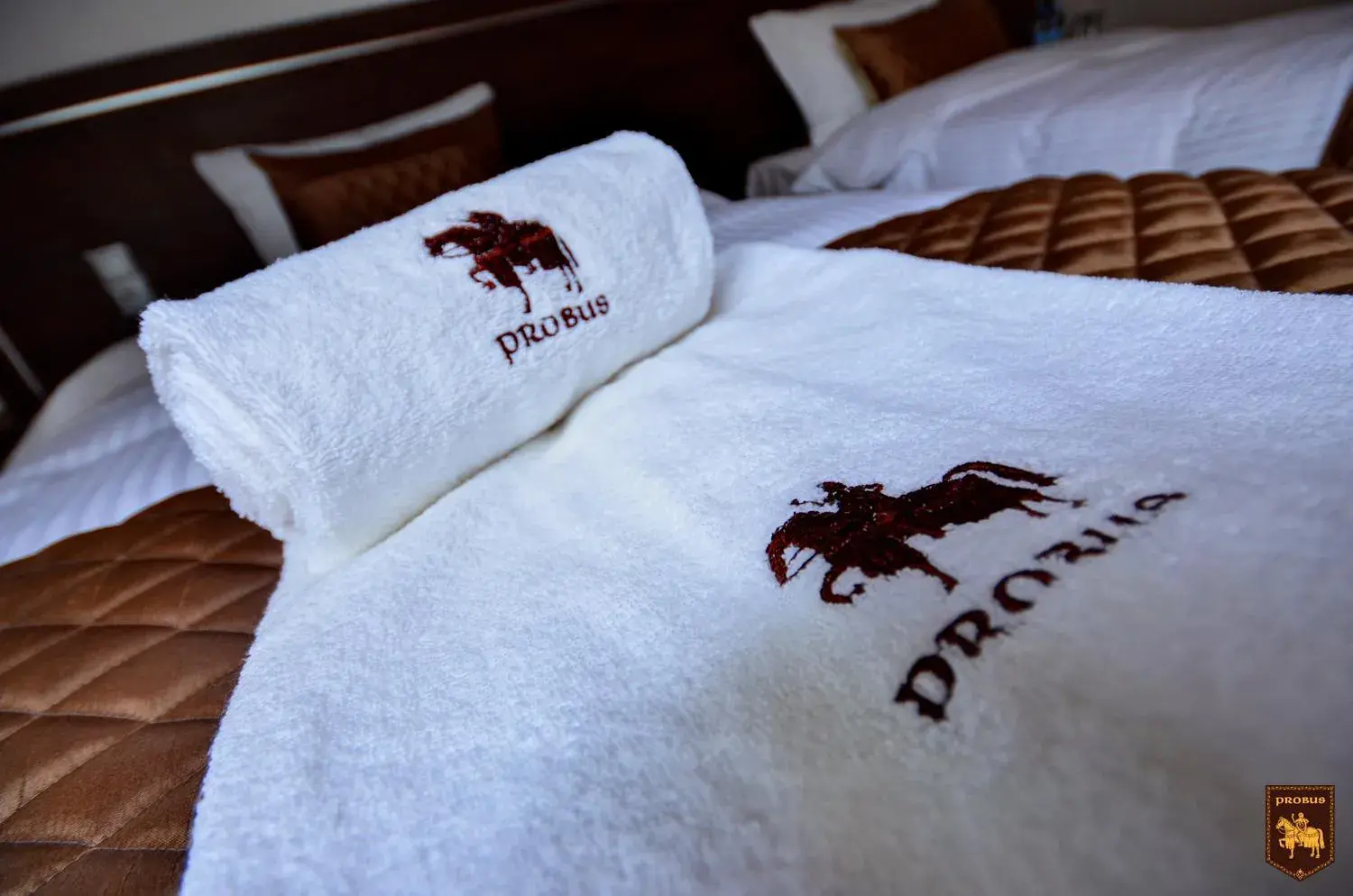 Double Room with Private Bathroom - single occupancy in CTKiR Browar Probus Double Room with Private Bathroom - single occupancy in CTKiR Browar Probus