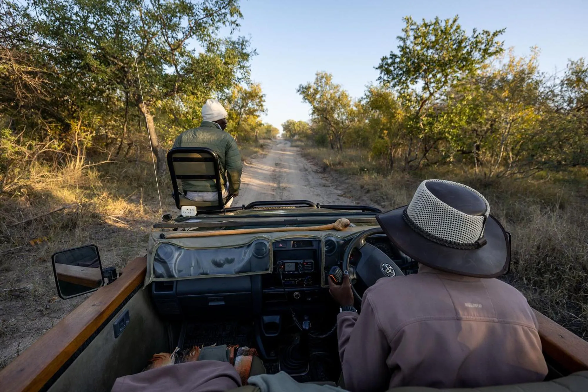 Animals in Karongwe - Kuname Safari Lodge
