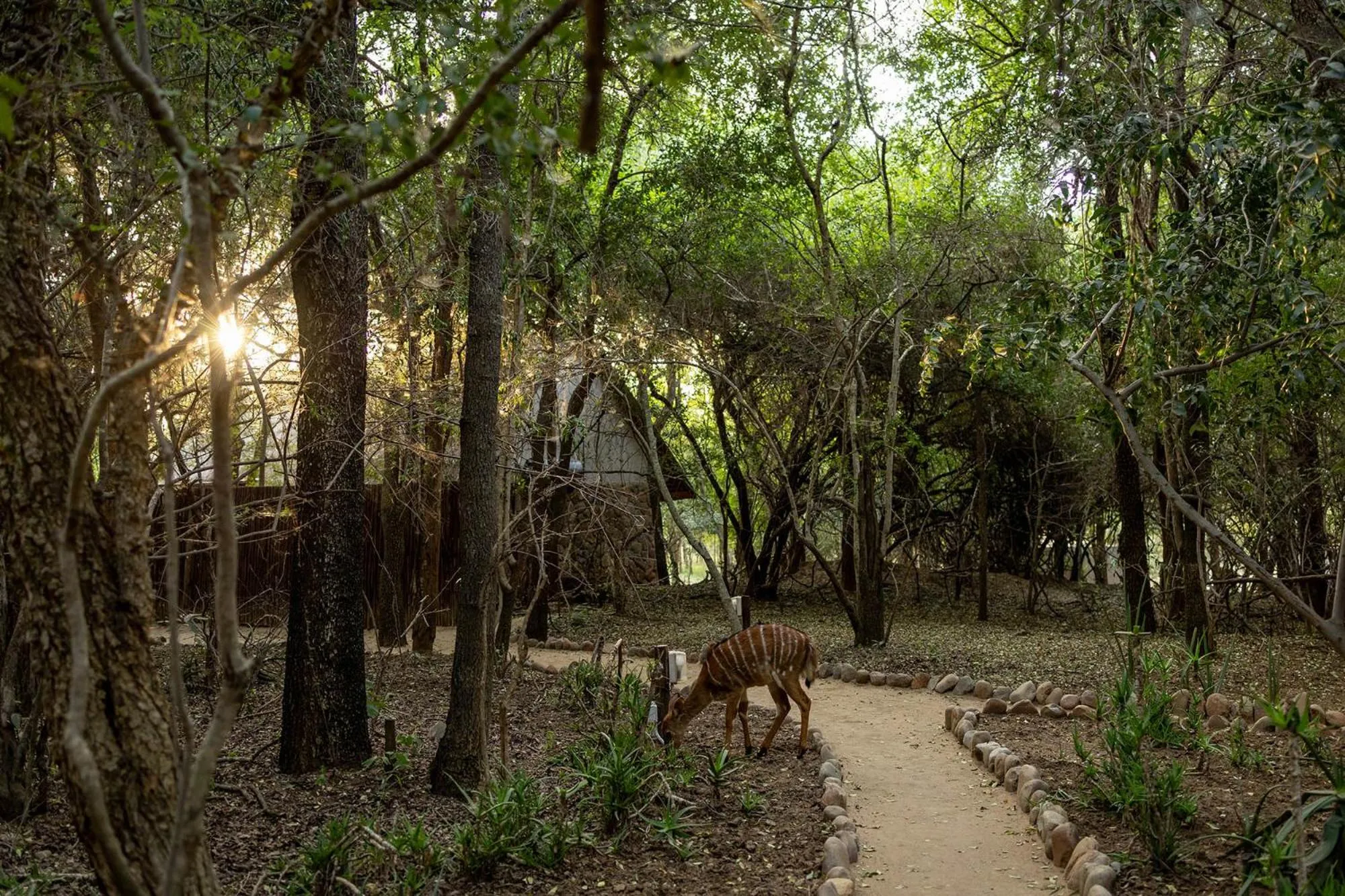 Property building in Karongwe - Kuname Safari Lodge