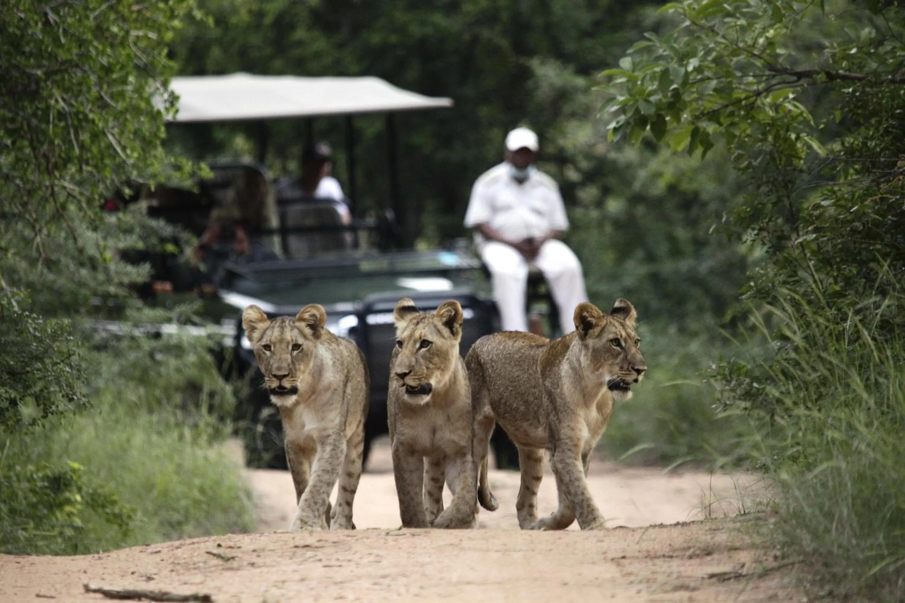 People in Karongwe - Kuname Safari Lodge