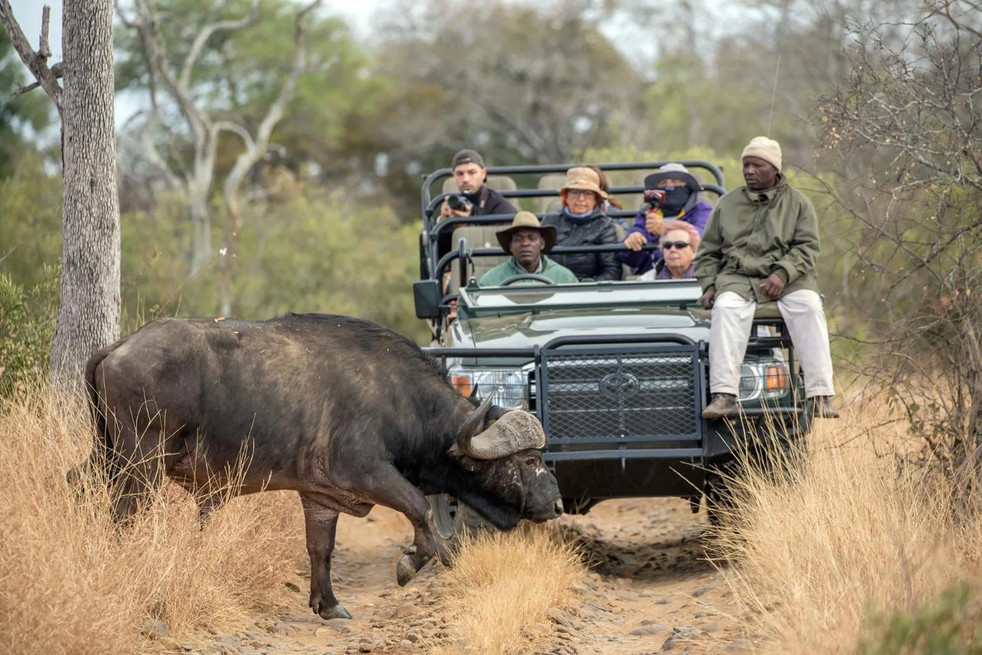Day in Karongwe - Kuname Safari Lodge