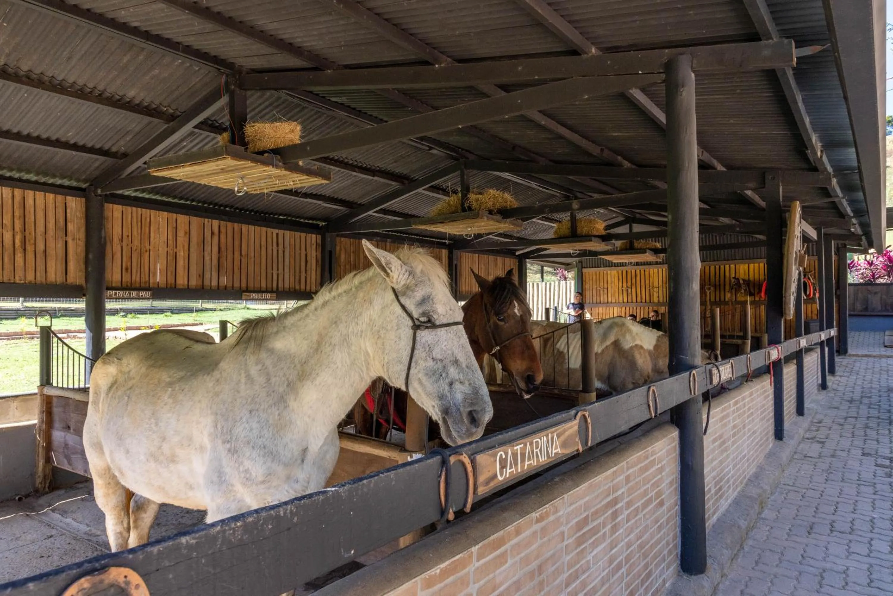 Hotel Fazenda Vilarejo All Inclusive