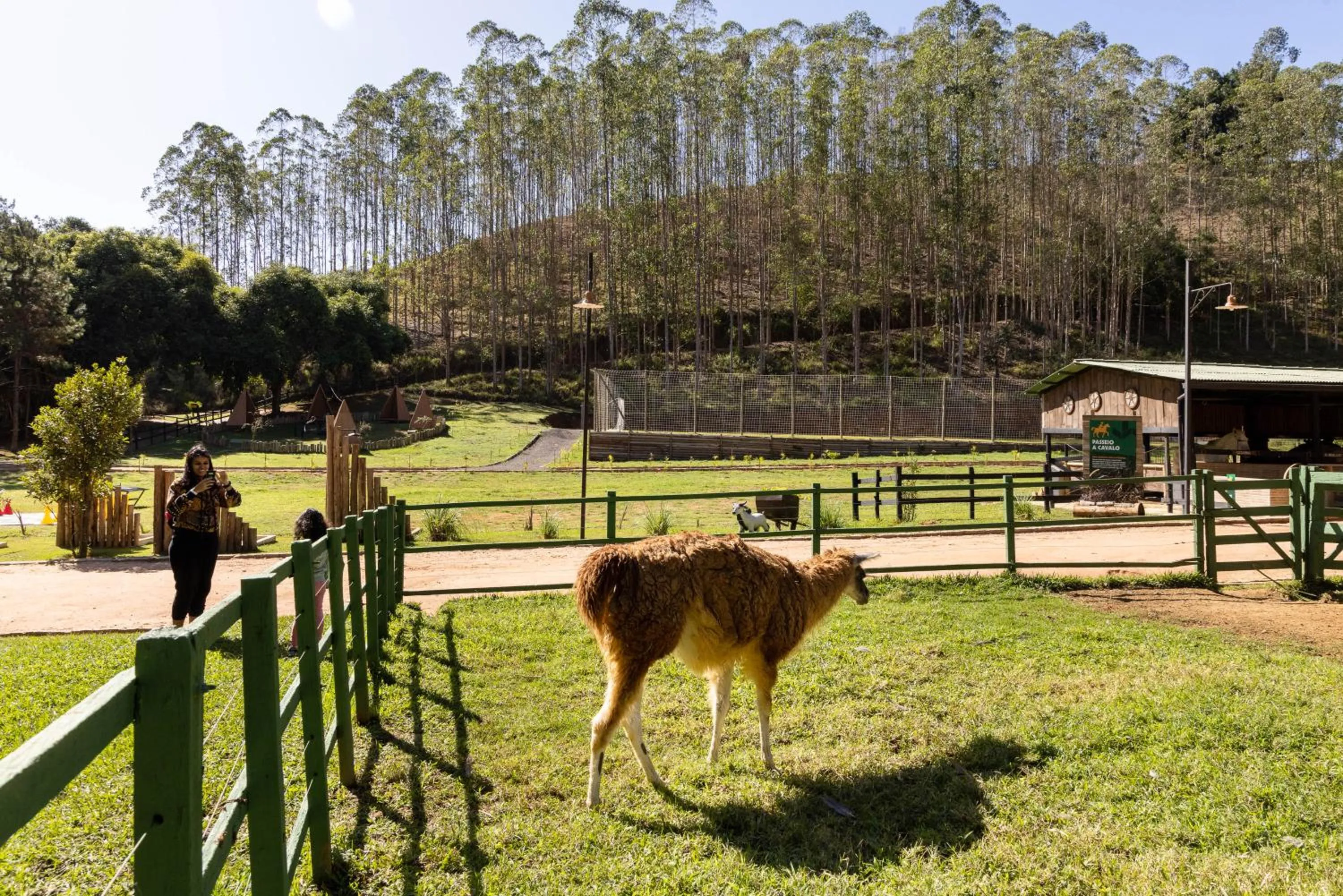 Hotel Fazenda Vilarejo All Inclusive