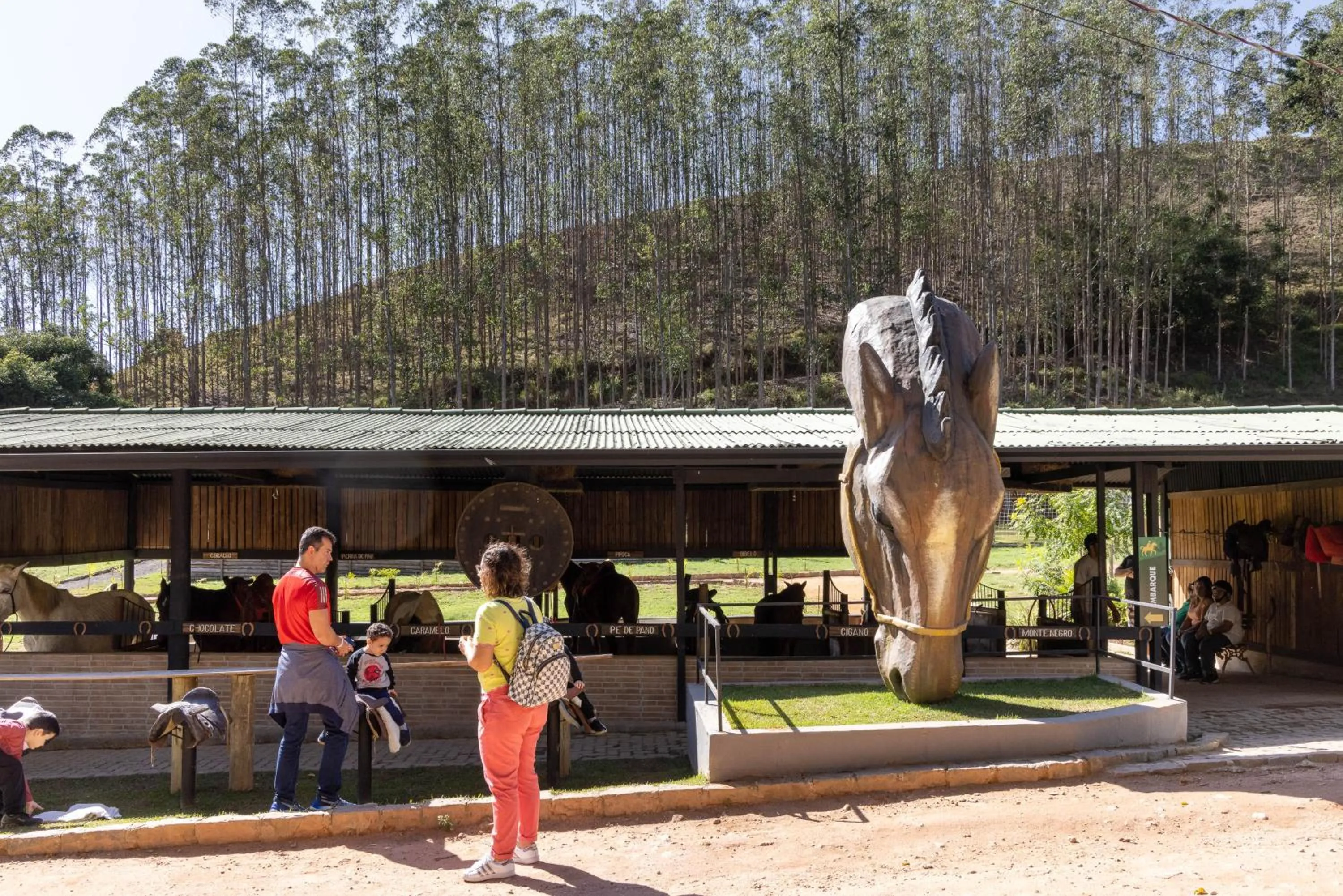 Hotel Fazenda Vilarejo All Inclusive