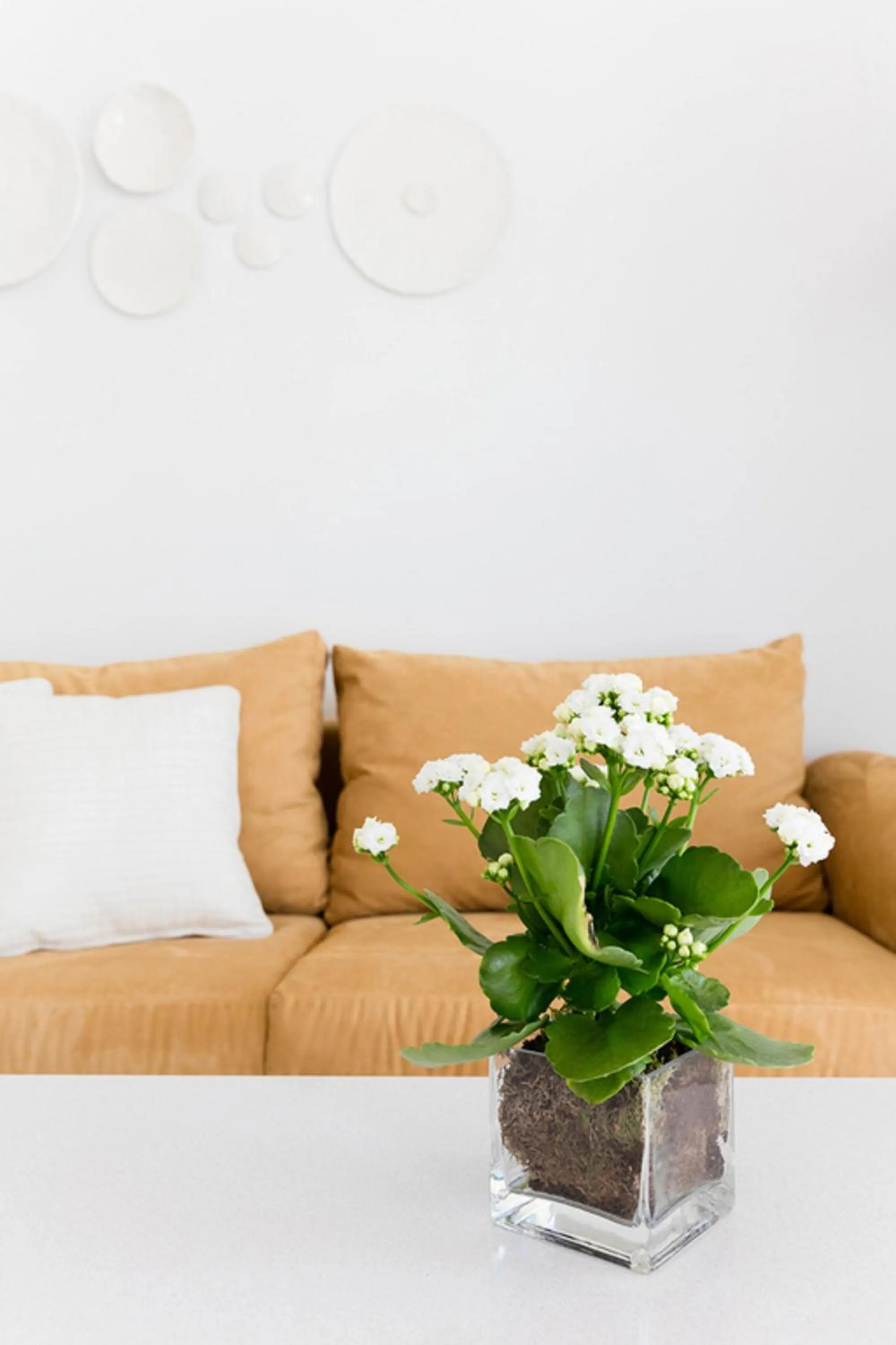 Living room in Myseahouse Flamingo - Adults Only 4* Sup