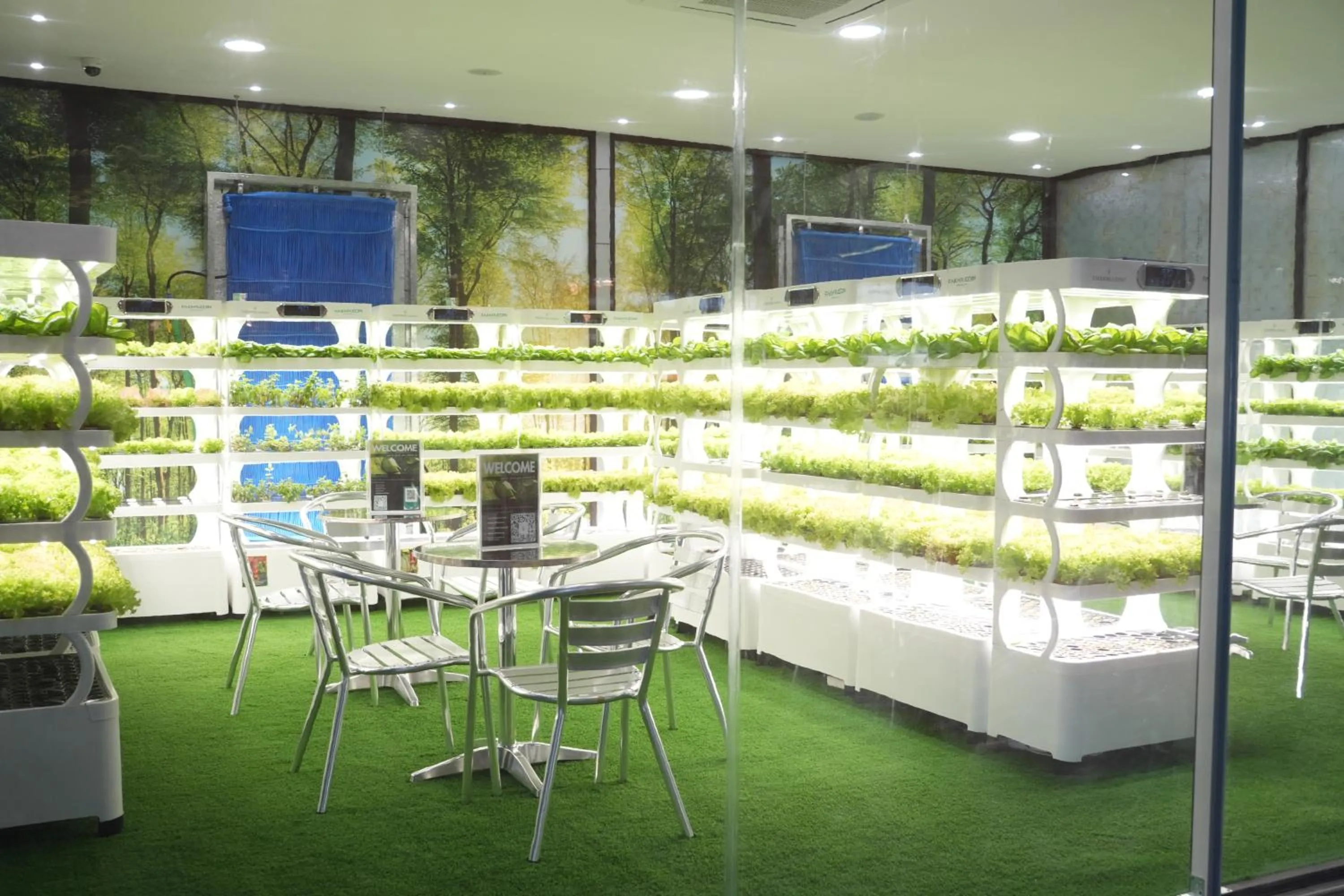 Treppan Hotel & Suites By Fakhruddin