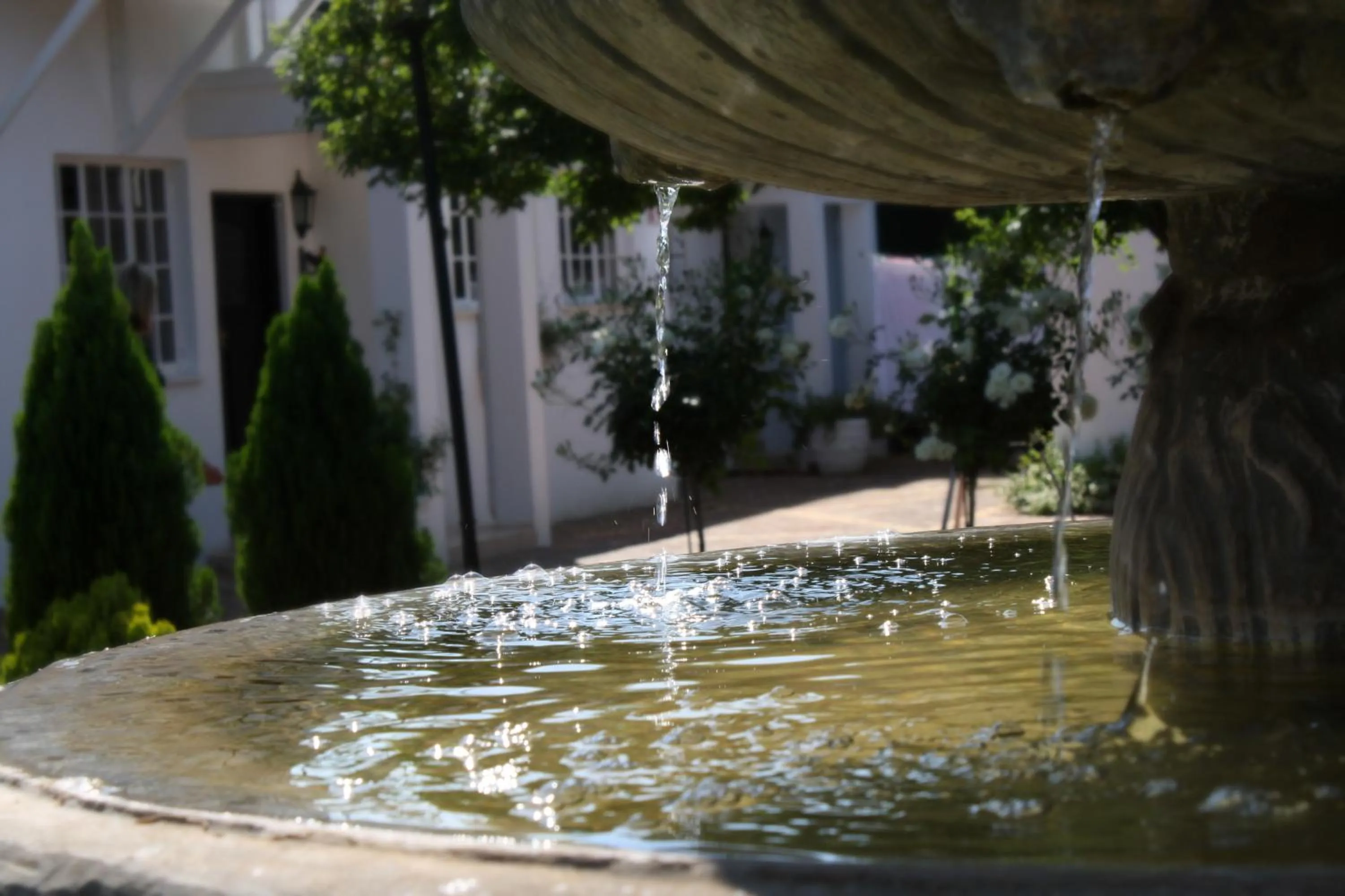 On site in Lemon & Lime Guesthouse