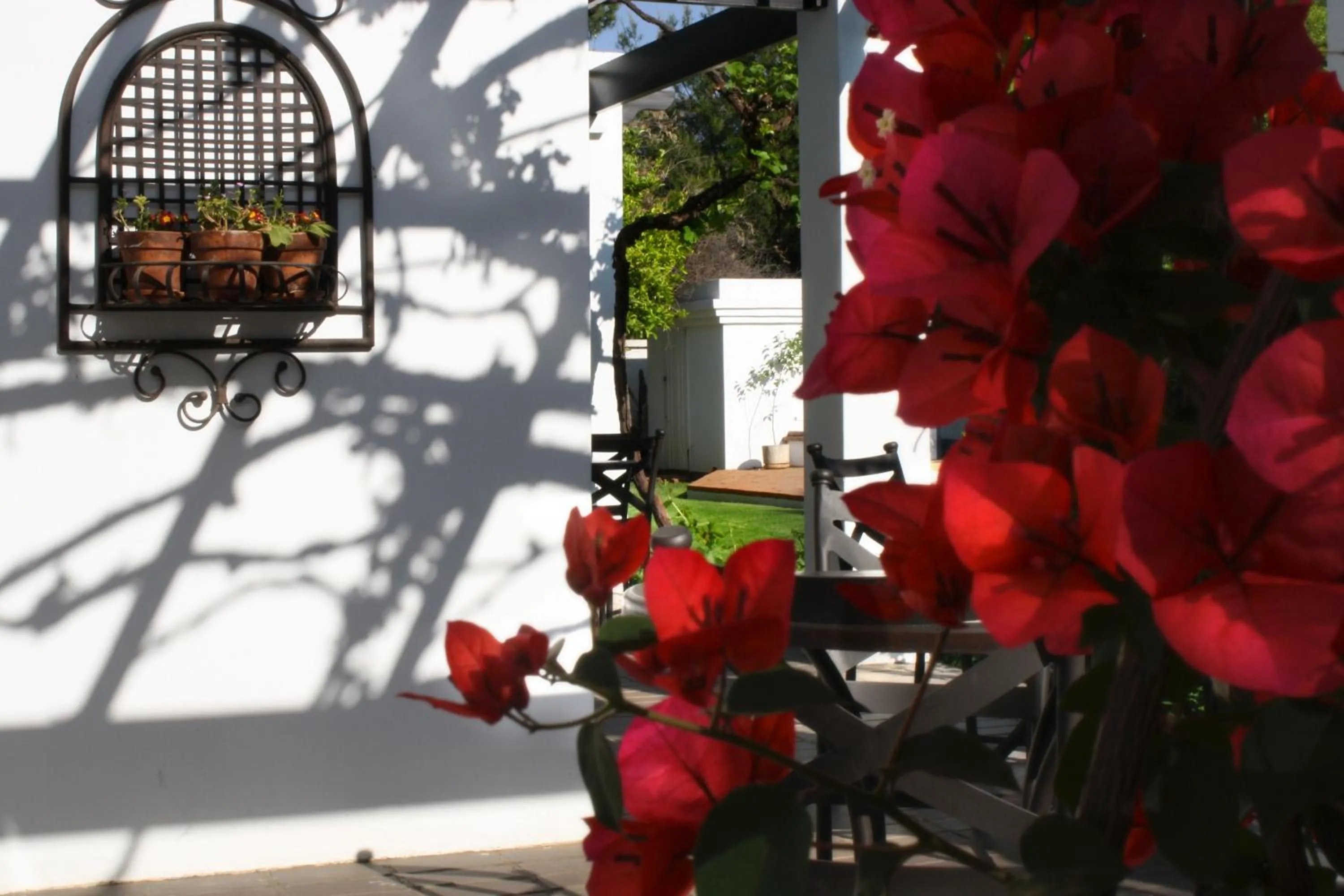 Decorative detail in Lemon & Lime Guesthouse