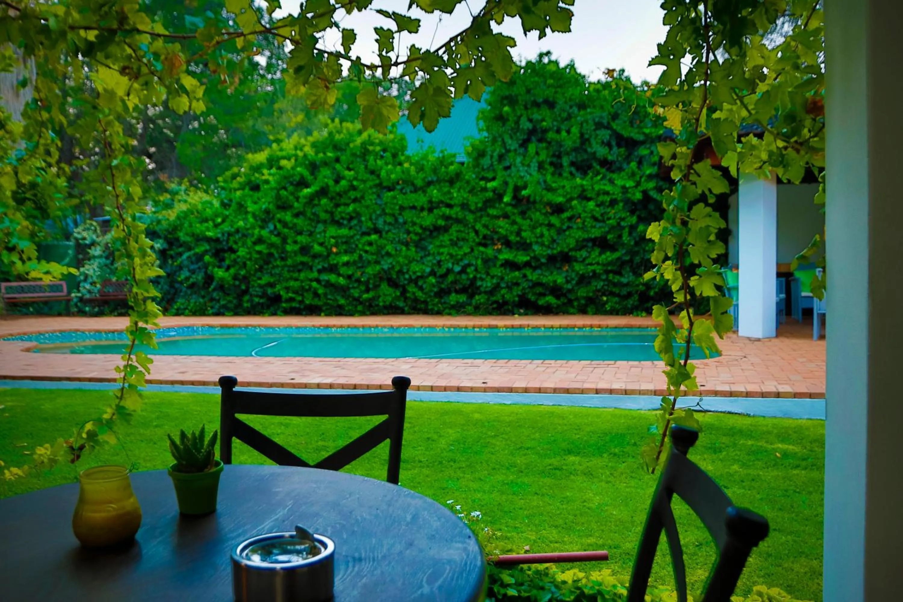 Swimming pool in Lemon & Lime Guesthouse