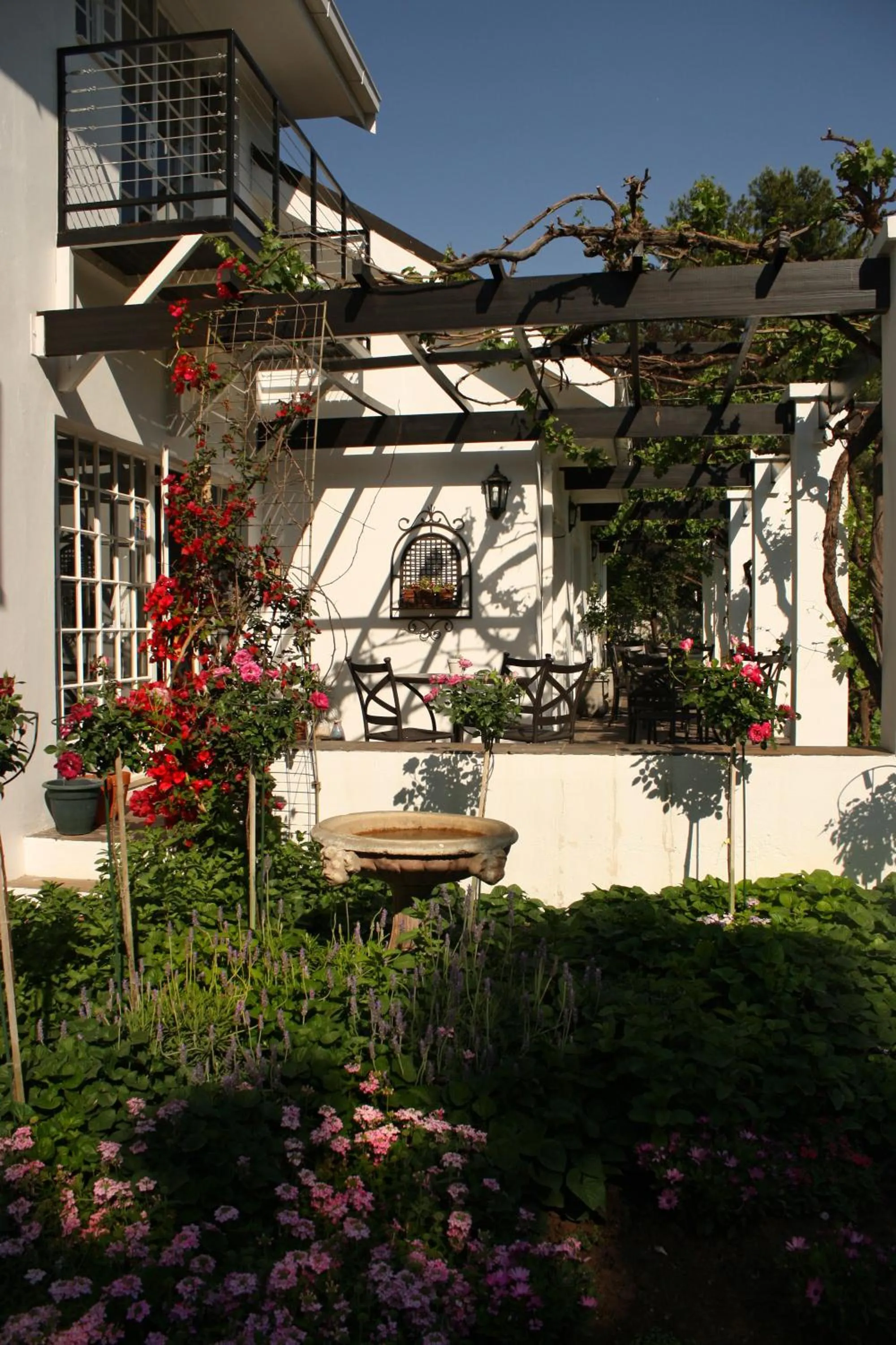 Garden in Lemon & Lime Guesthouse