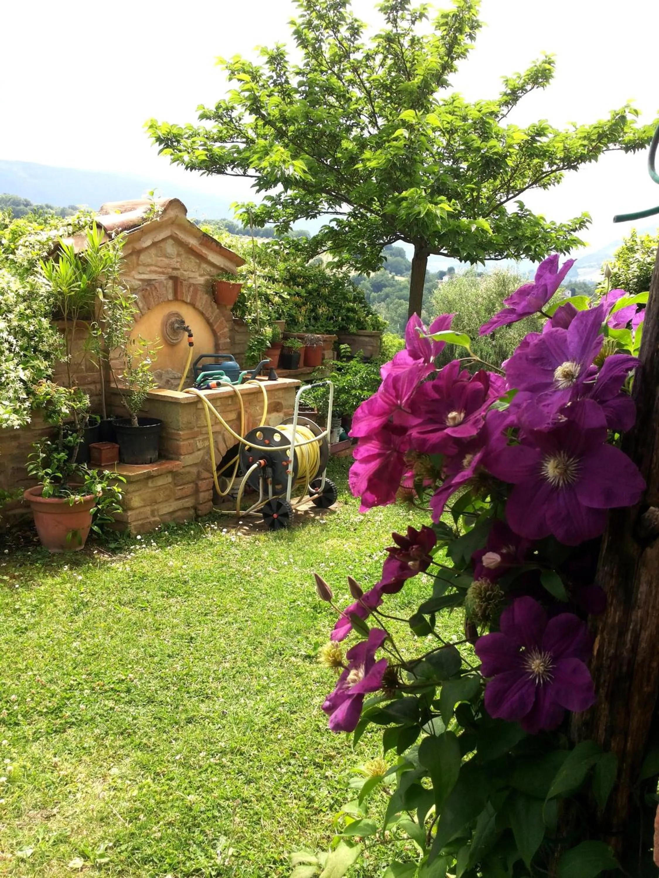 Garden in B&B Antegiano