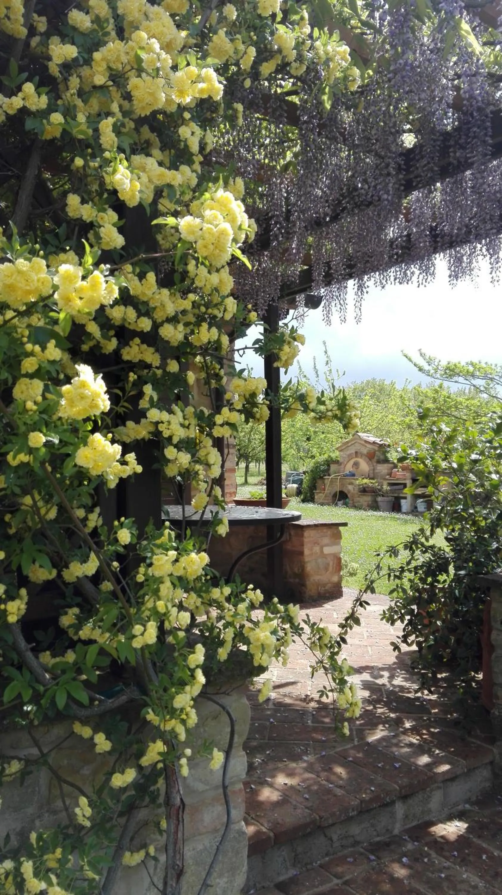 Garden in B&B Antegiano