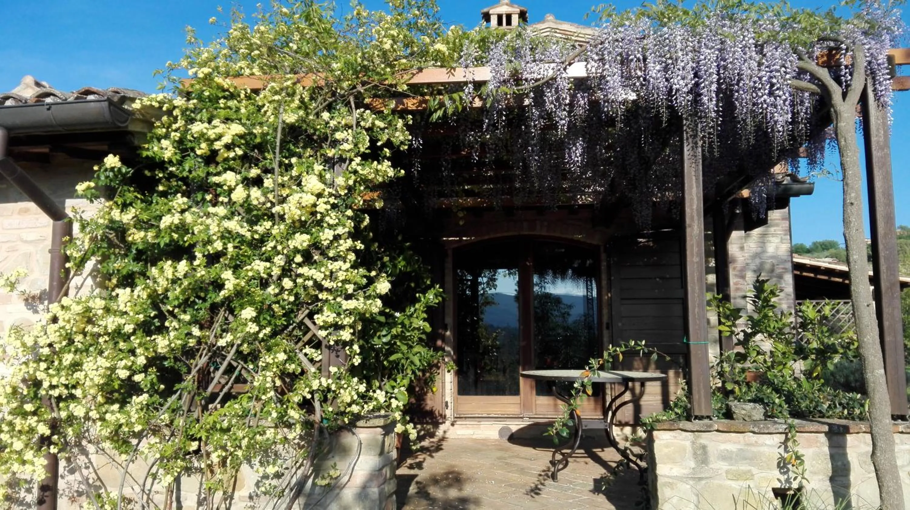 Garden in B&B Antegiano