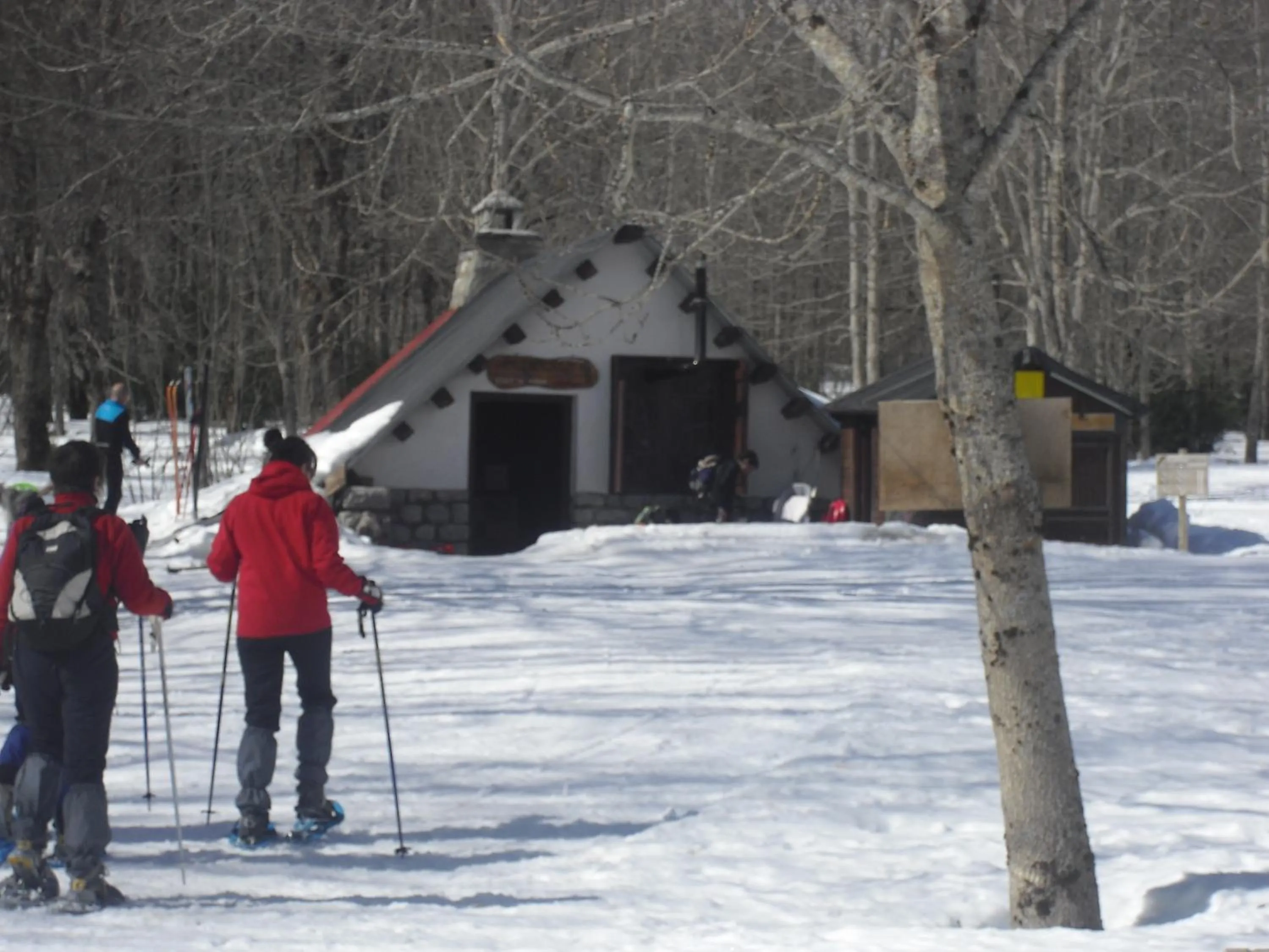 View (from property/room) in Parador de Bielsa