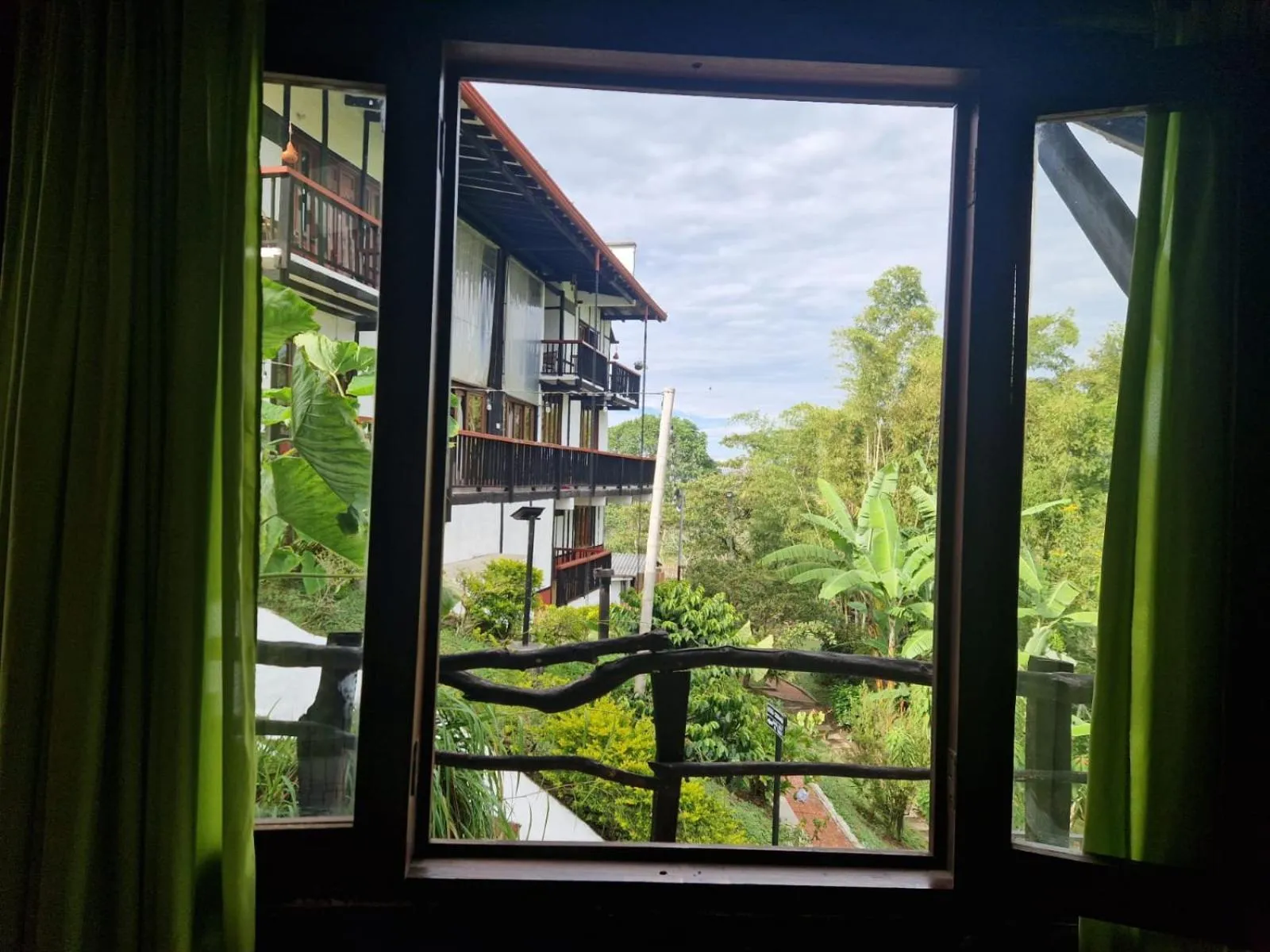 Garden in Coffee Tree Boutique Hostel