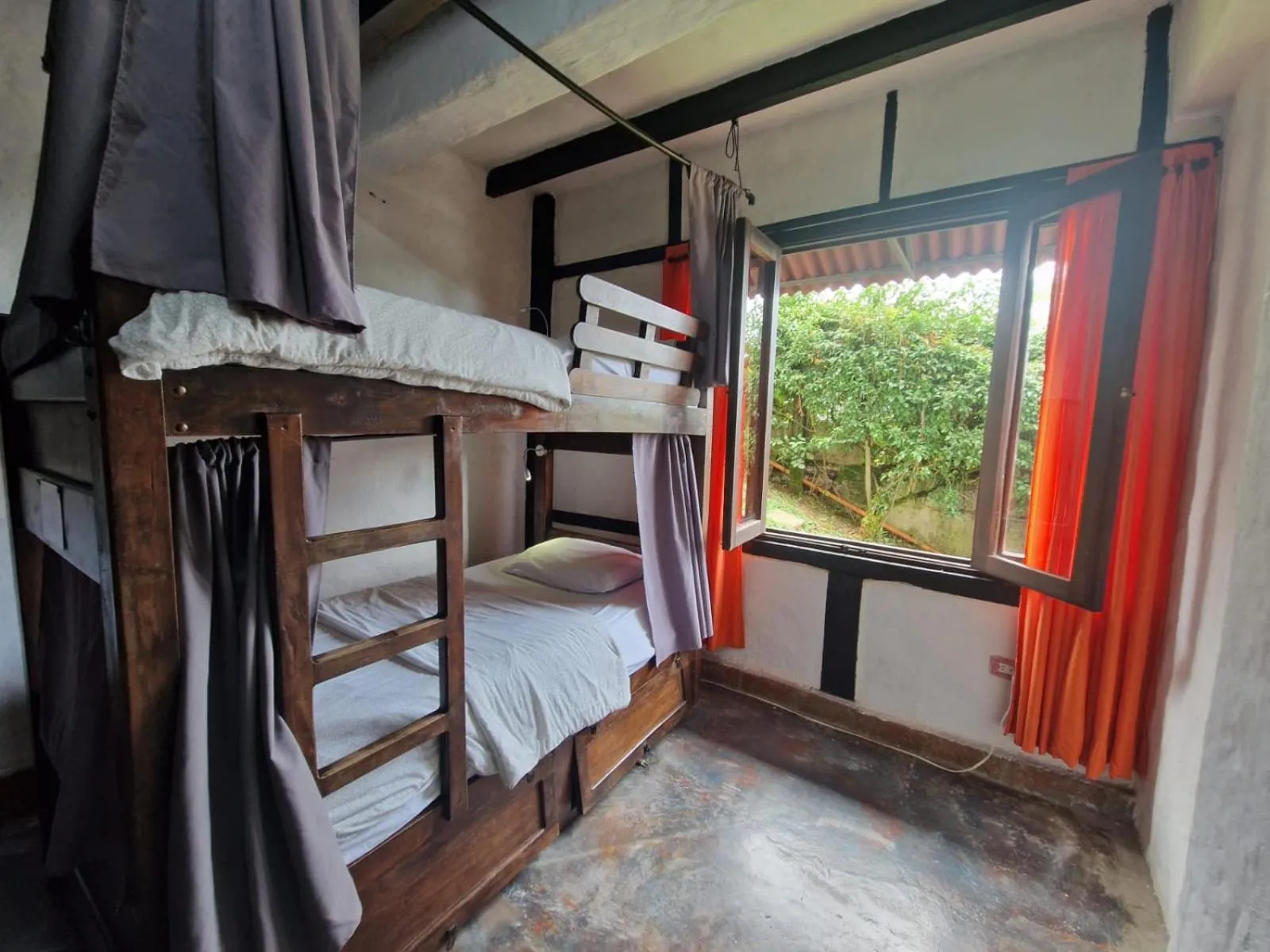 bunk bed, Bed in Coffee Tree Boutique Hostel