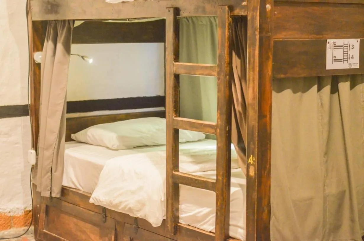 bunk bed, Bed in Coffee Tree Boutique Hostel