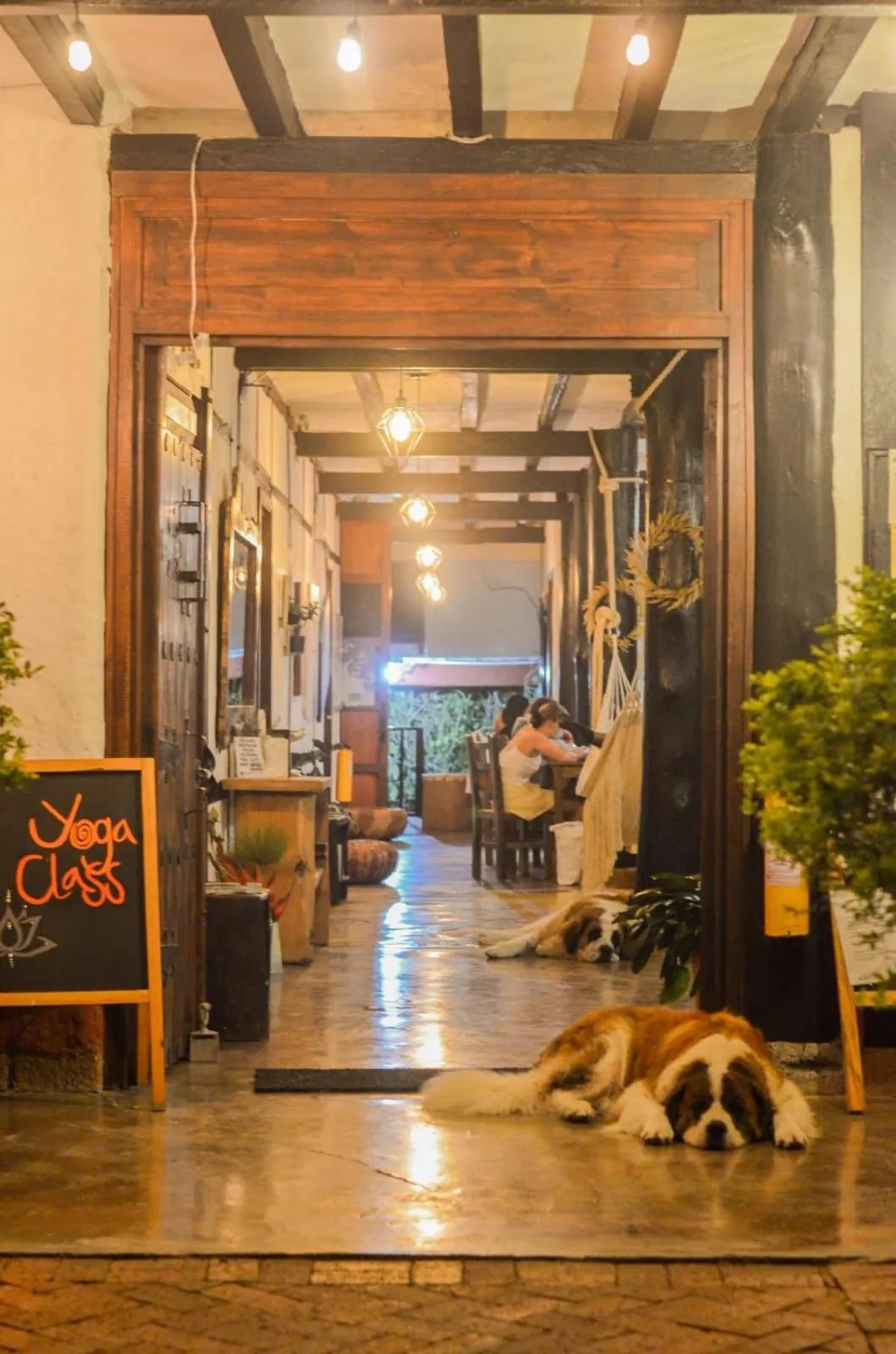 Facade/entrance in Coffee Tree Boutique Hostel