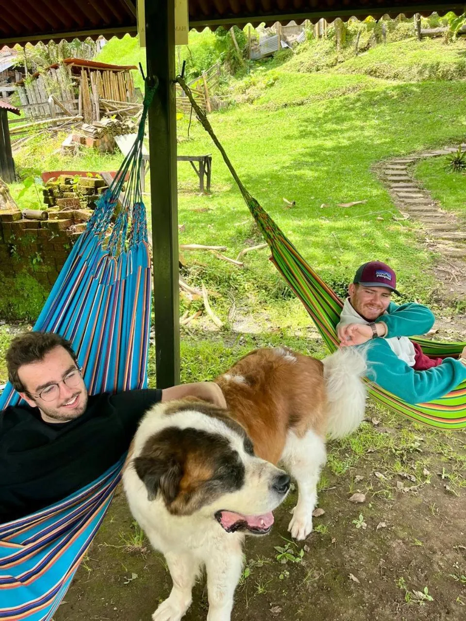 Pets in Coffee Tree Boutique Hostel